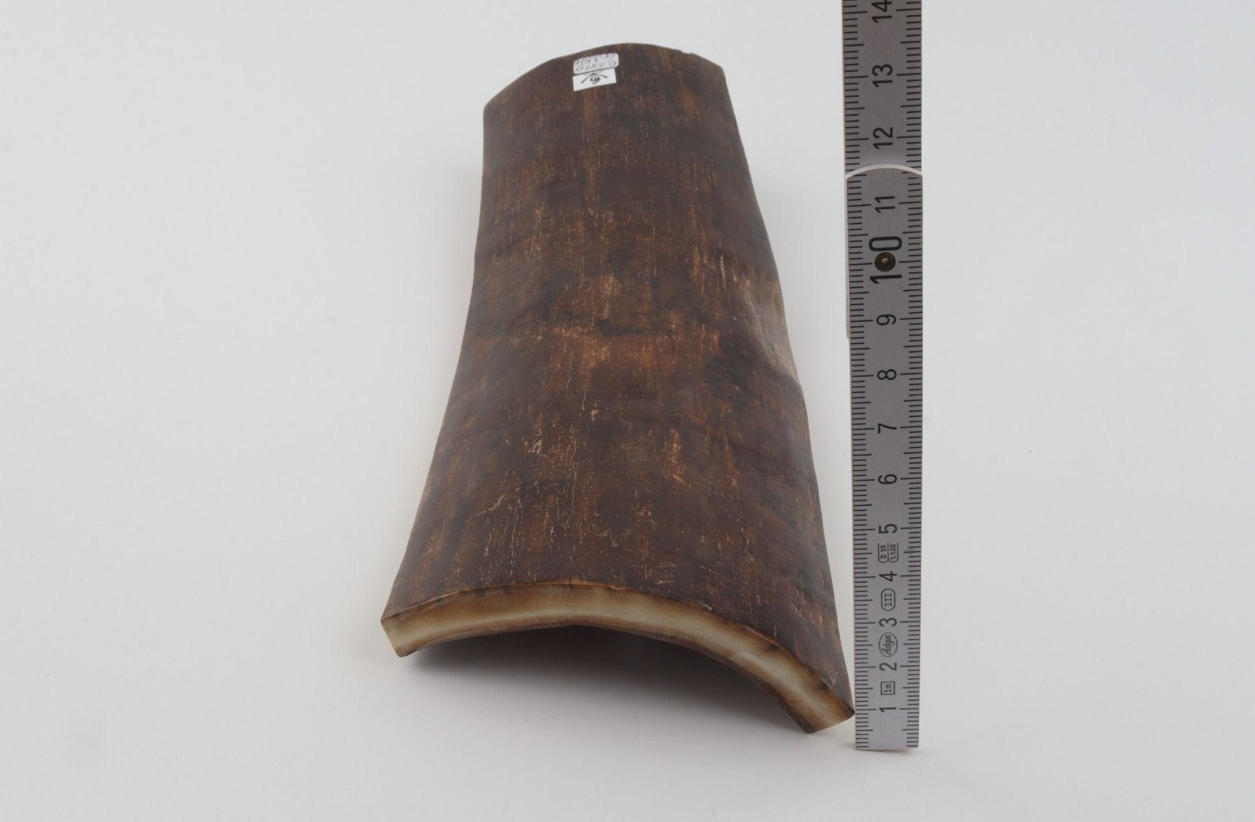 Brown mammoth bark