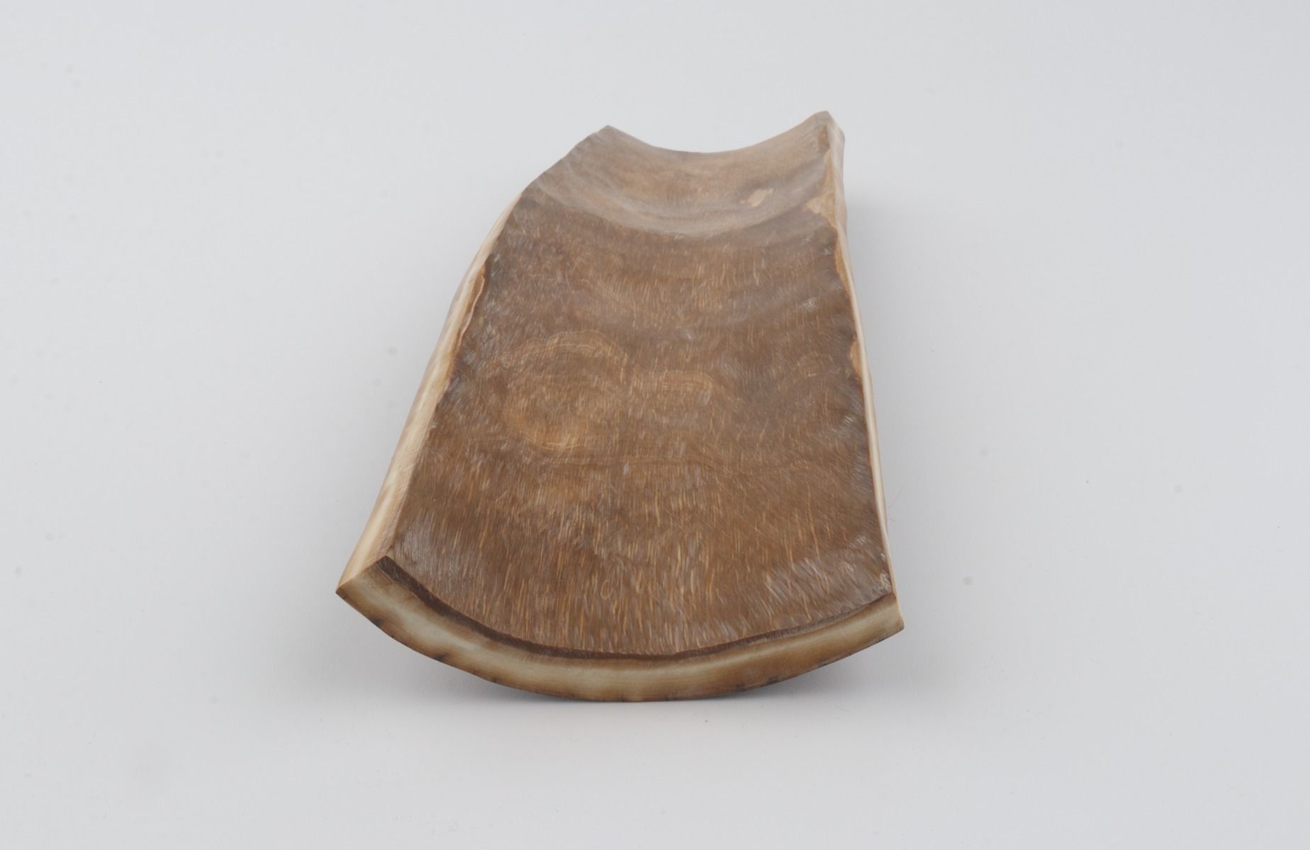 Brown mammoth bark
