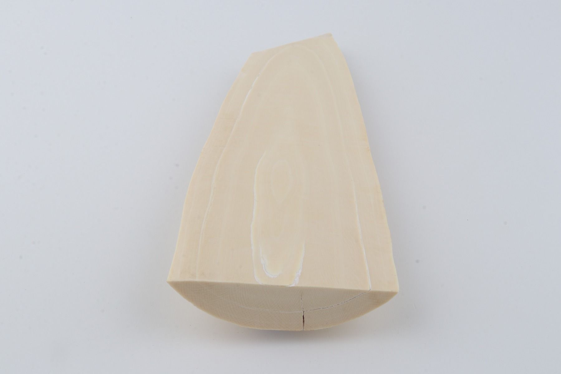 White mammoth ivory piece