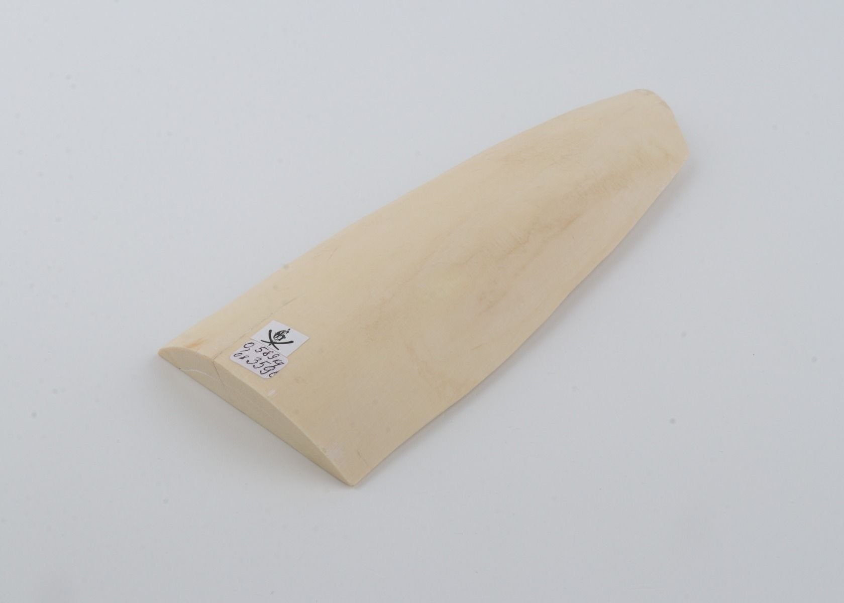 White mammoth ivory piece