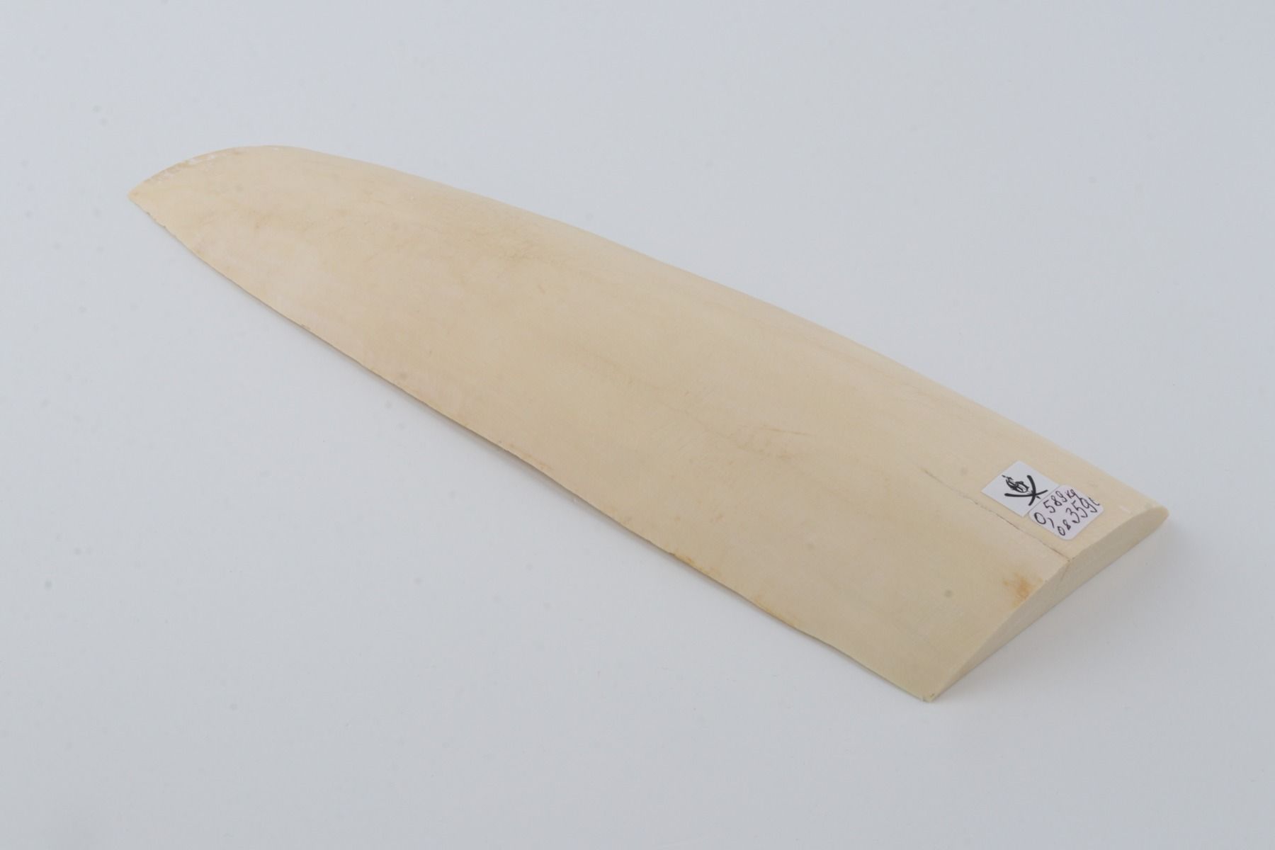 White mammoth ivory piece