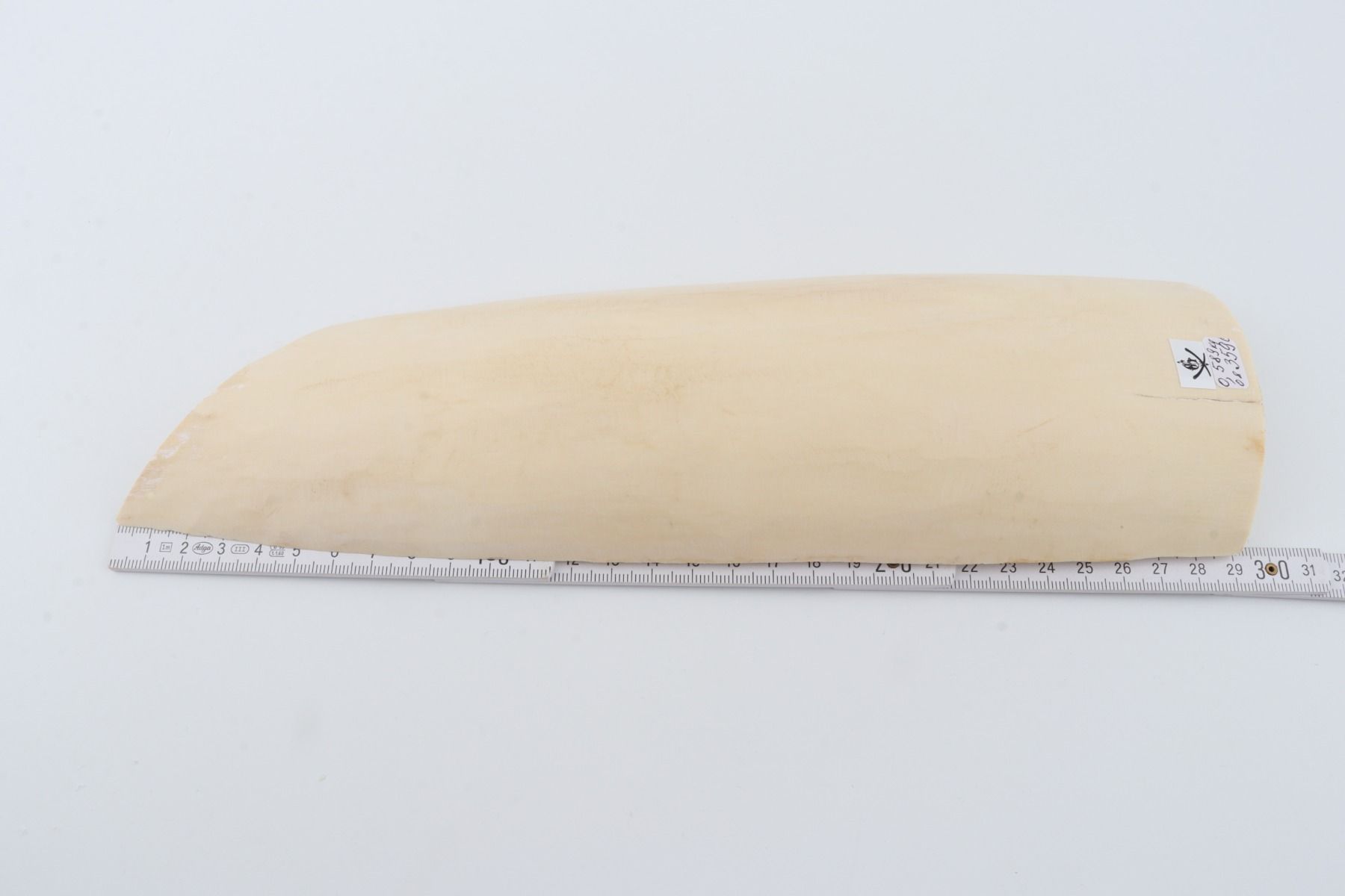 White mammoth ivory piece