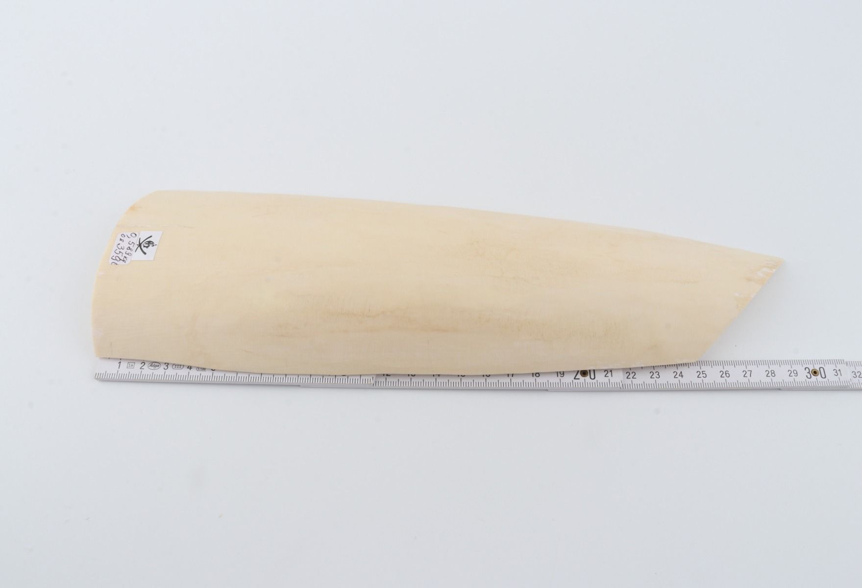 White mammoth ivory piece