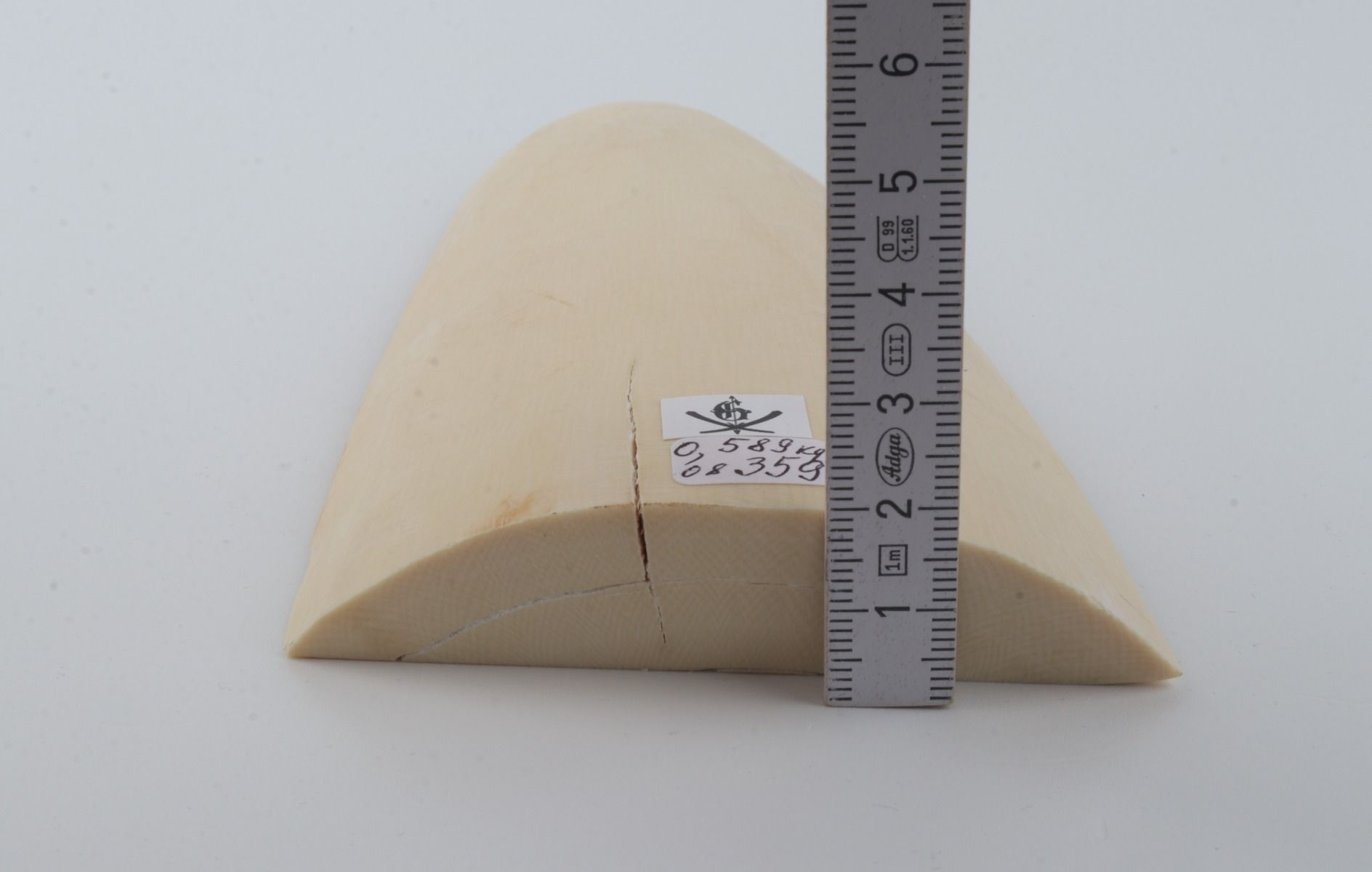 White mammoth ivory piece