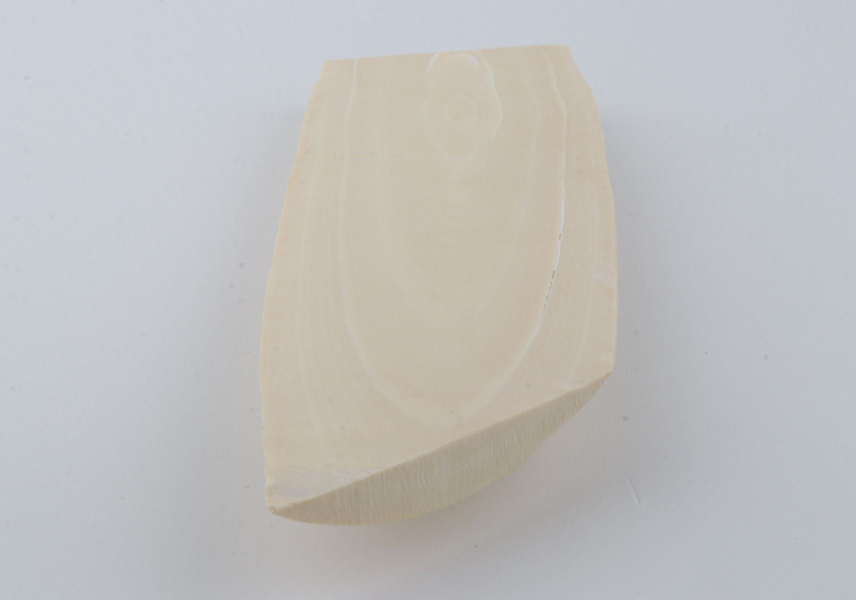 White mammoth ivory piece