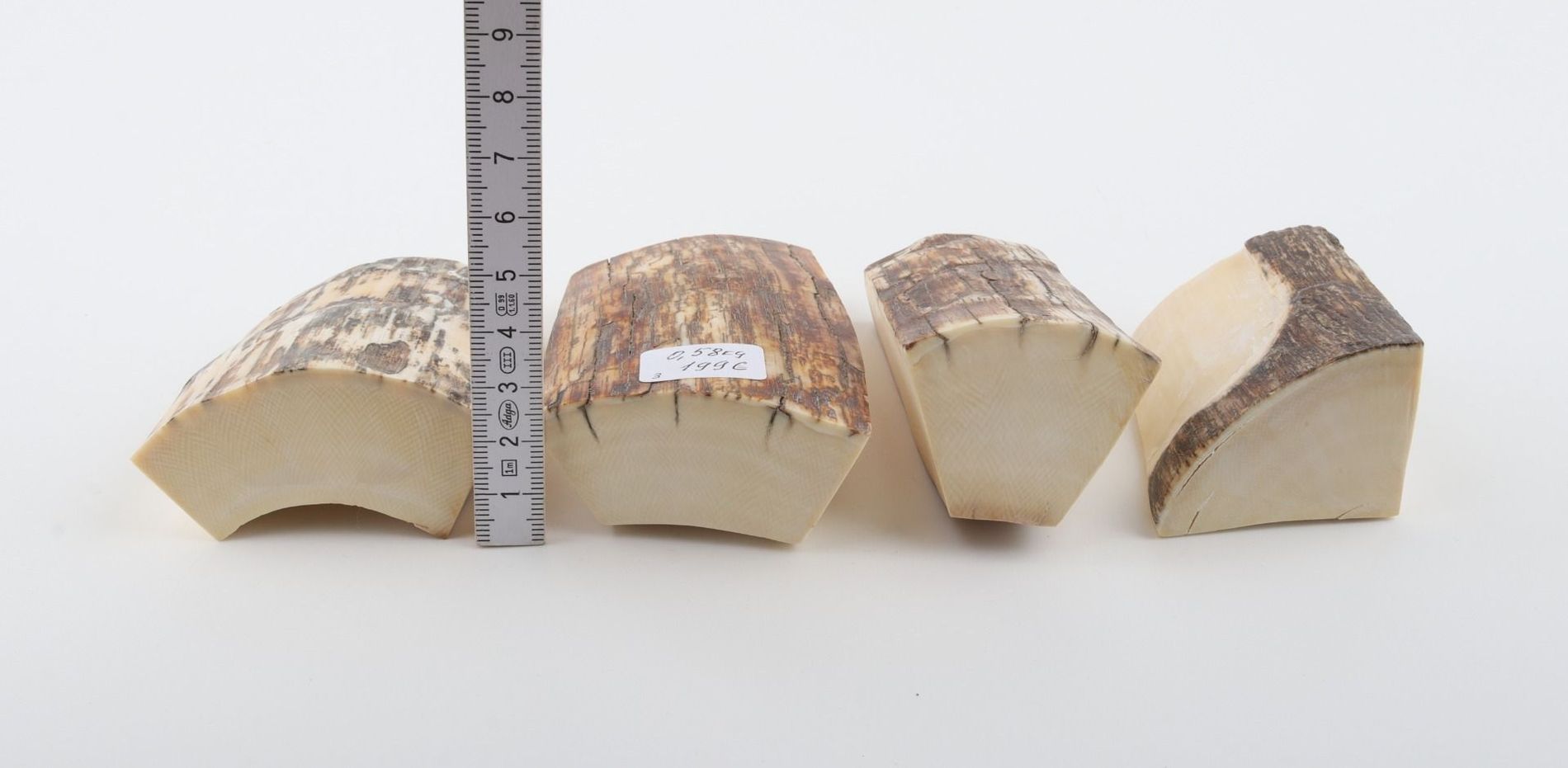 Natural mammoth ivory pieces