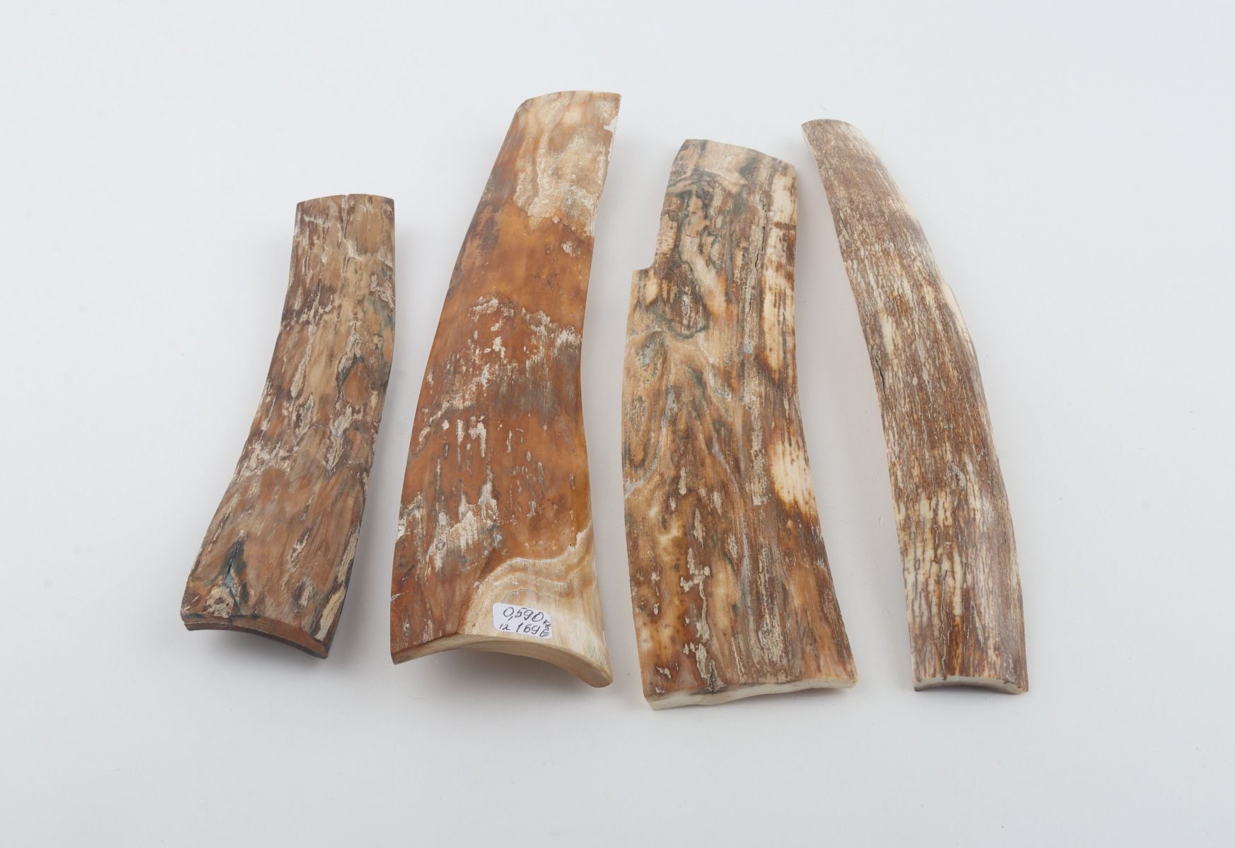 Natural woolly mammoth bark pieces