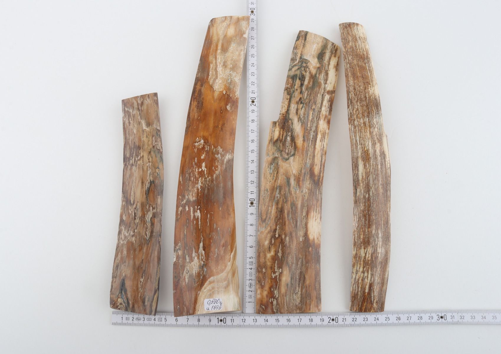Natural woolly mammoth bark pieces