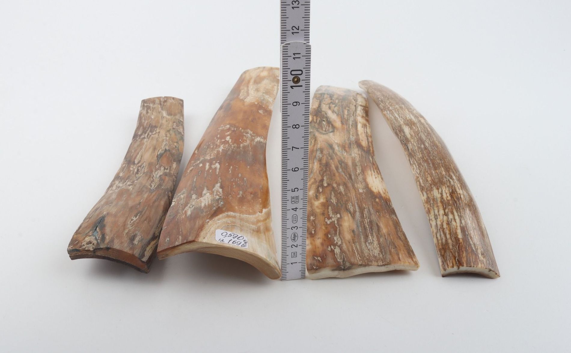 Natural woolly mammoth bark pieces