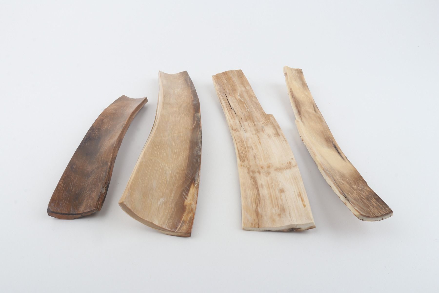 Natural woolly mammoth bark pieces