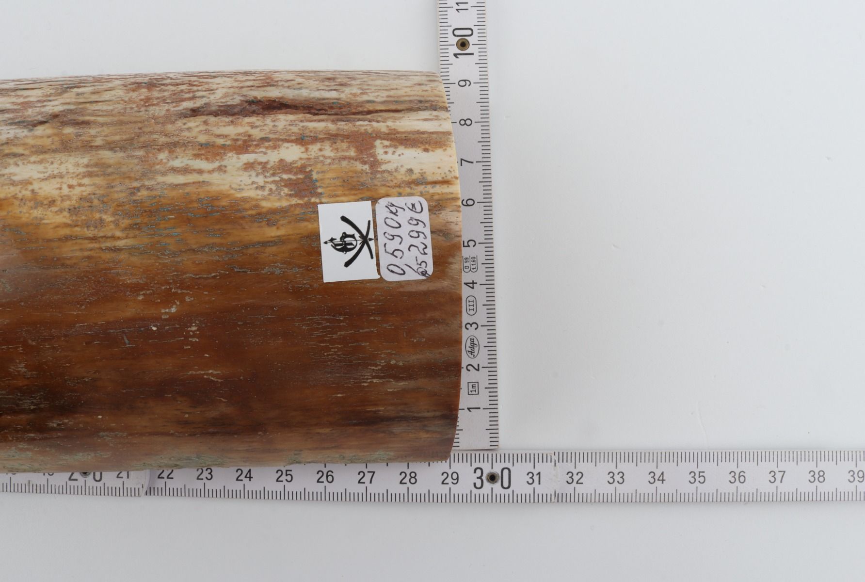 Beige-orange mammoth bark