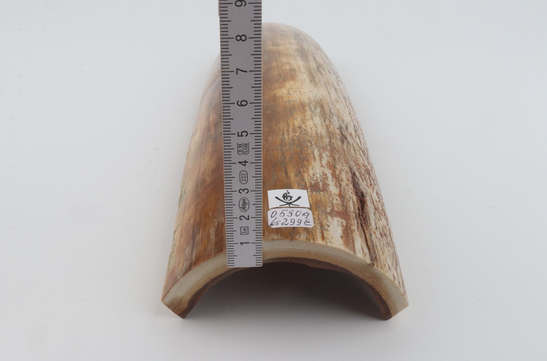 Beige-orange mammoth bark
