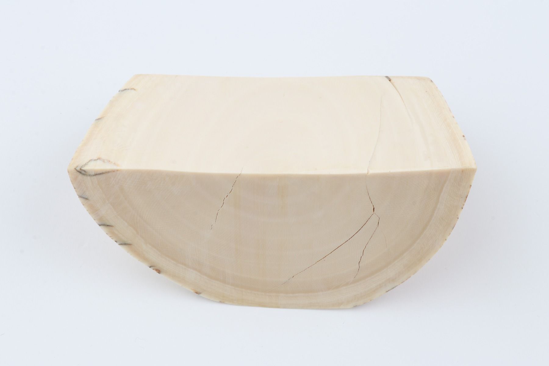 Natural mammoth tusk piece
