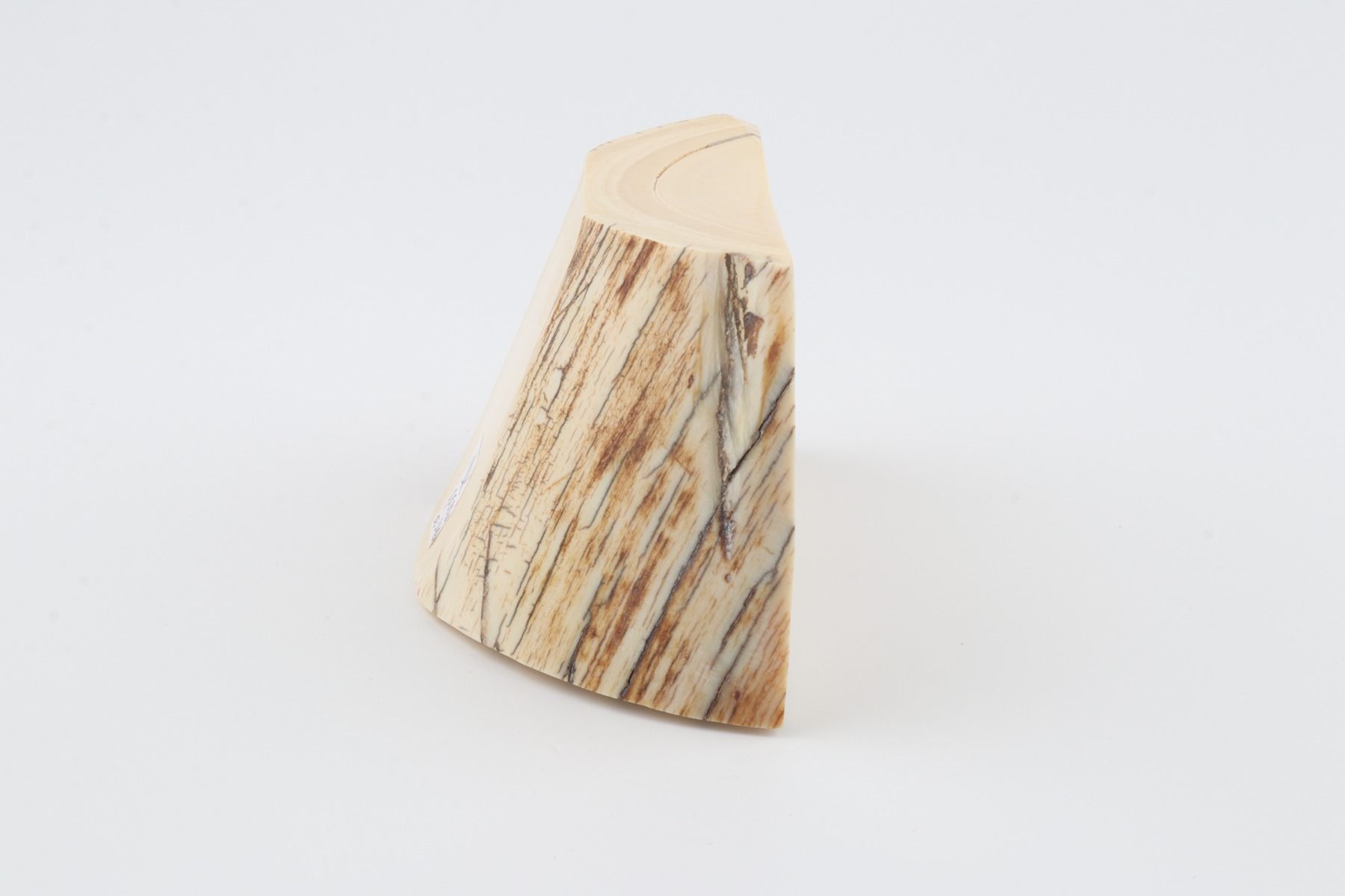Natural mammoth tusk piece