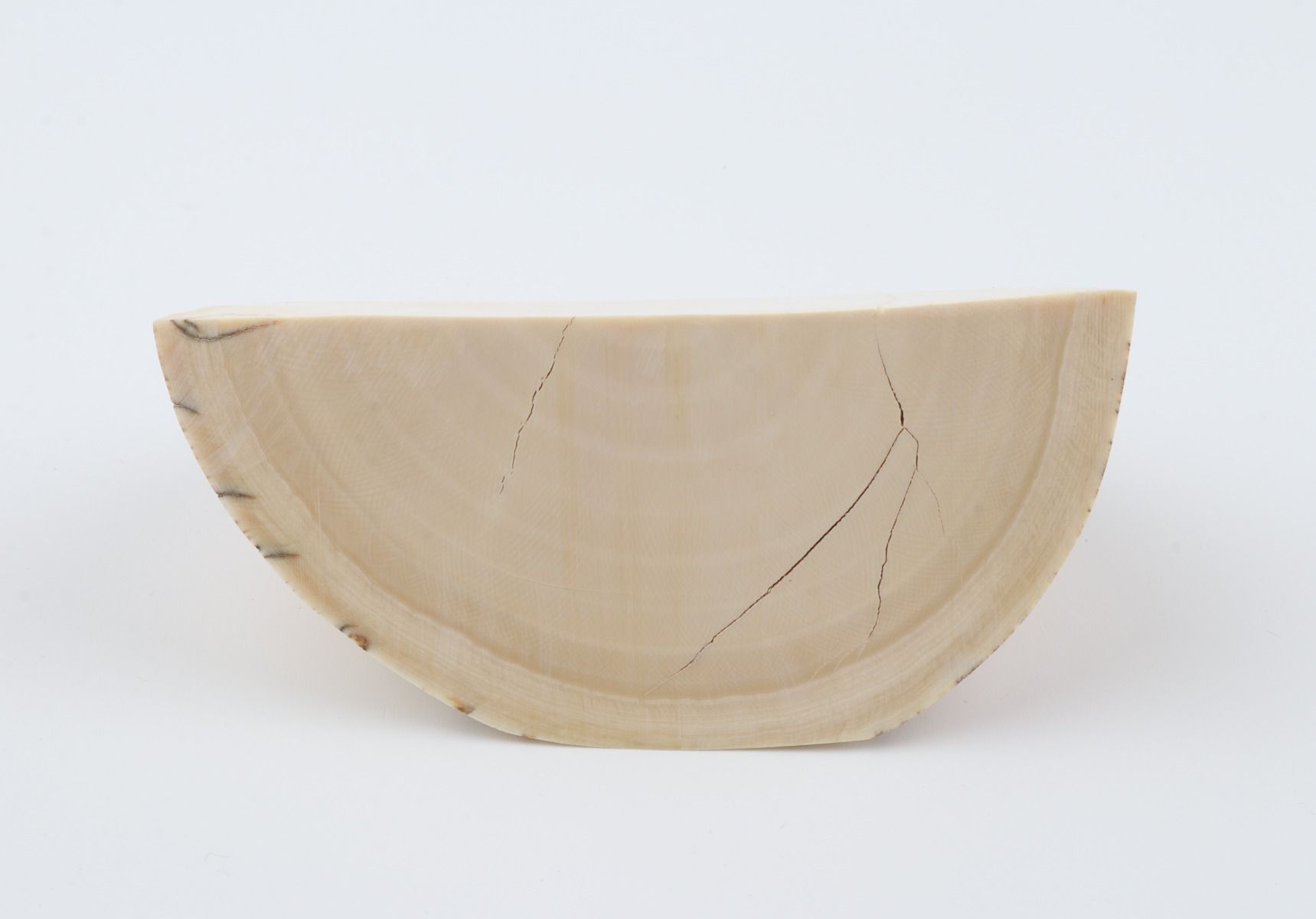 Natural mammoth tusk piece