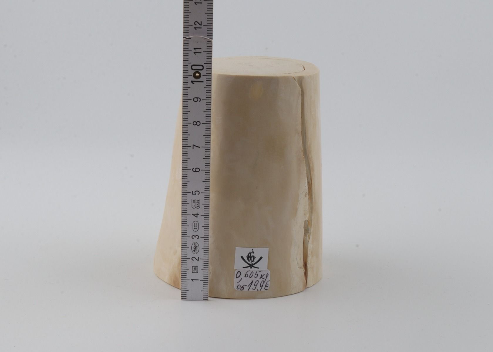 Natural mammoth tusk piece