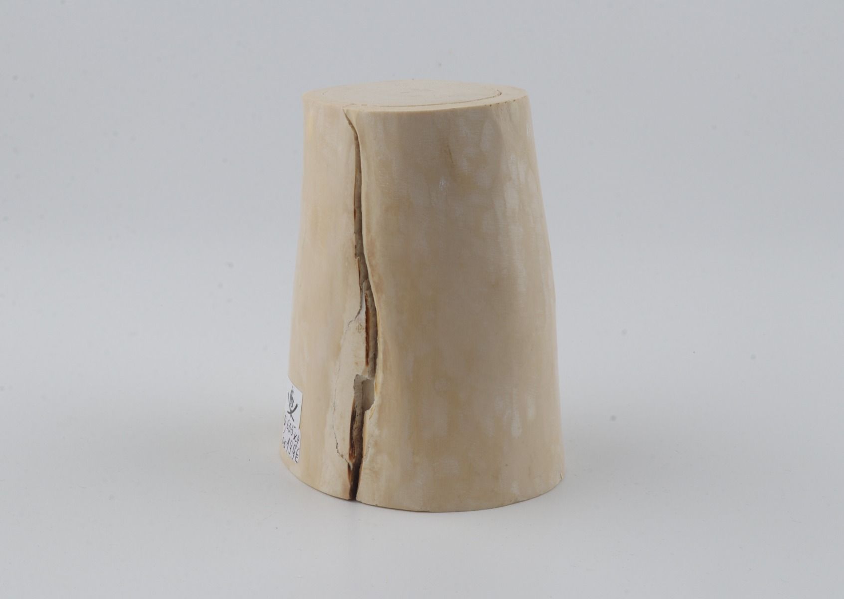 Natural mammoth tusk piece