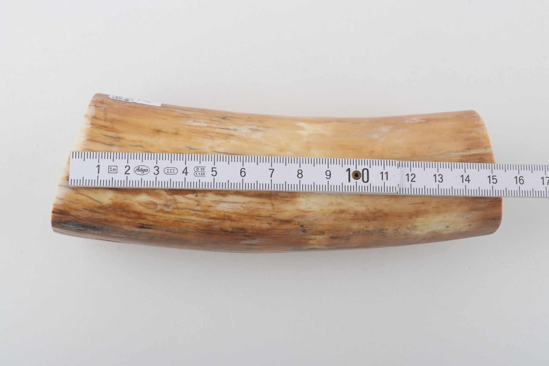 Round woolly mammoth tusk piece