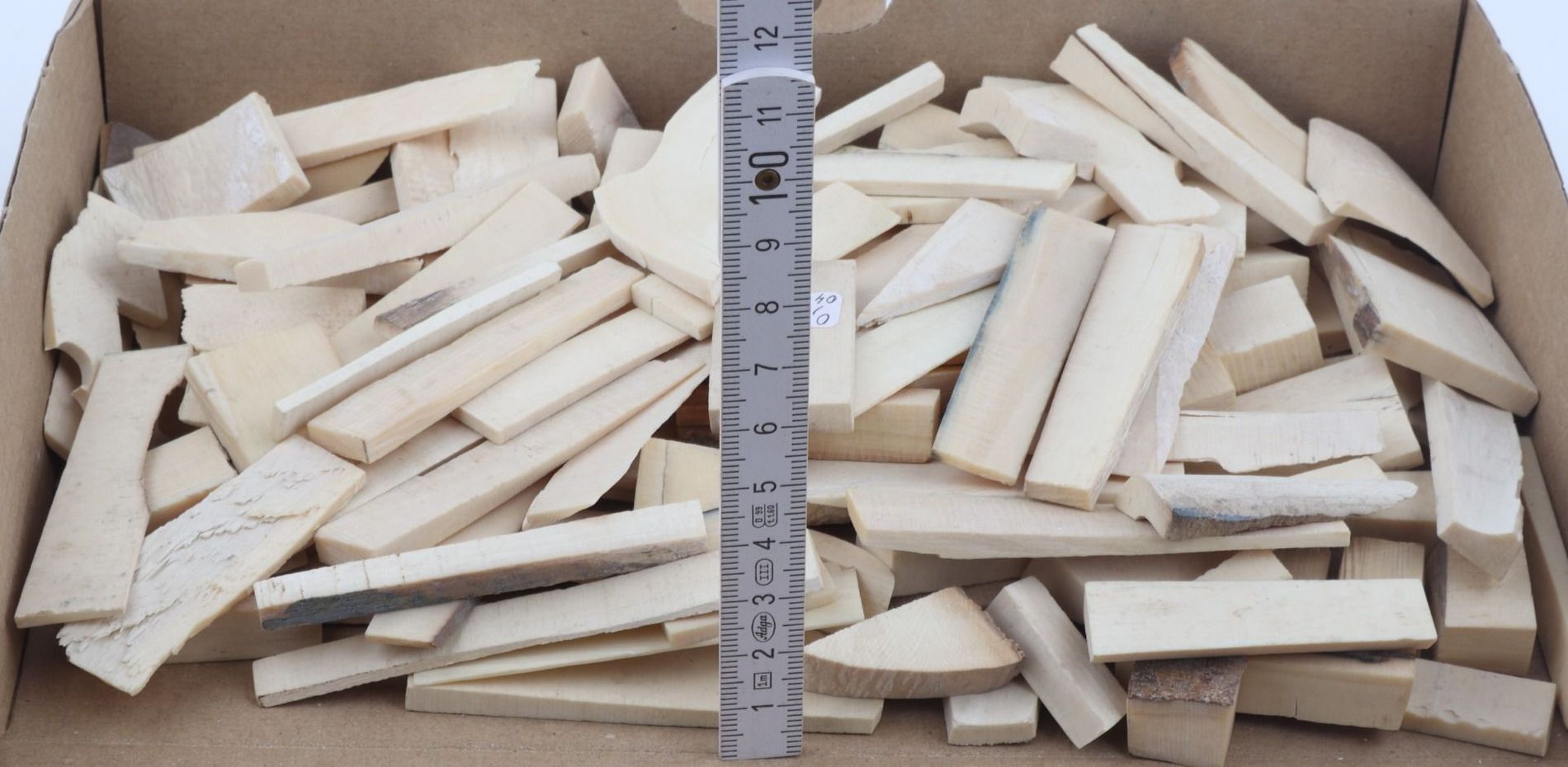 Raw white mammoth ivory offcuts