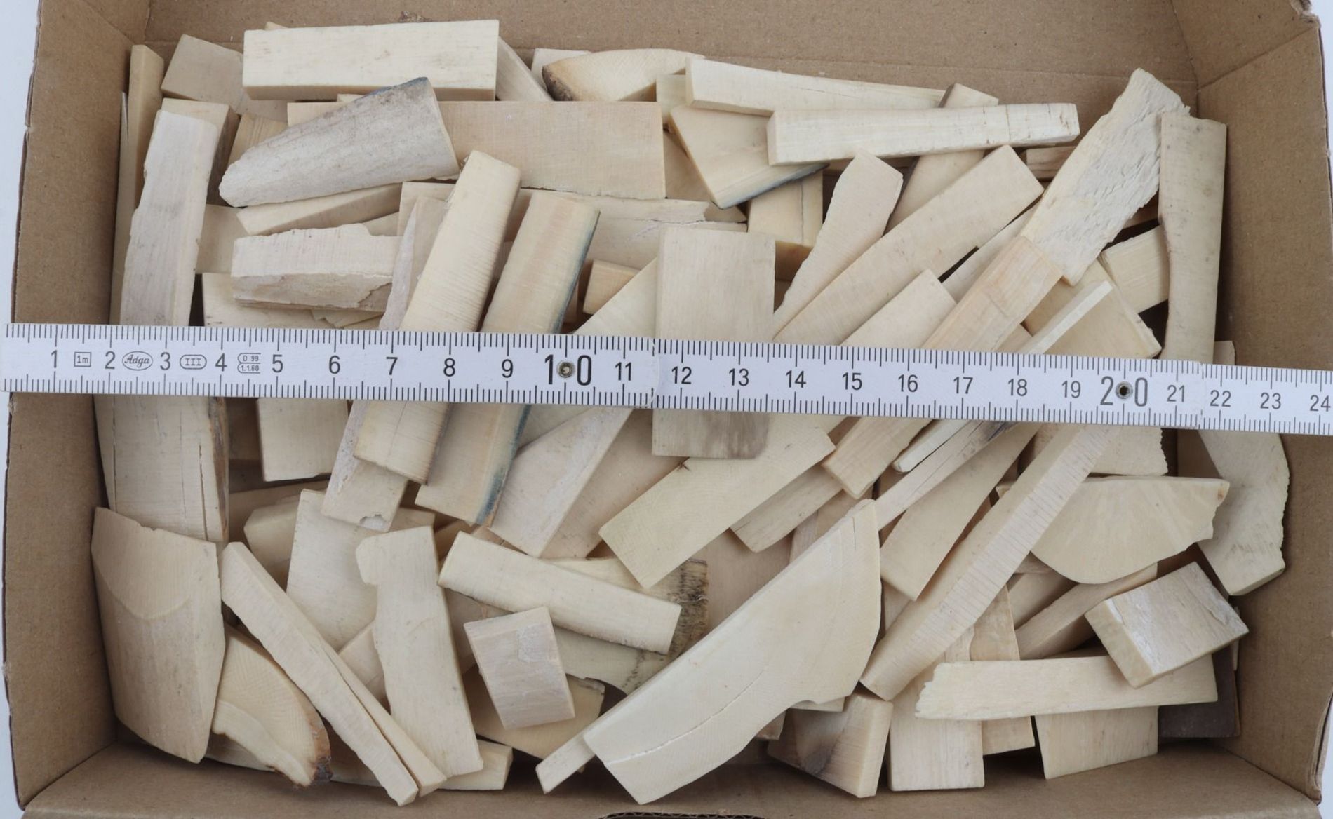 Raw white mammoth ivory offcuts