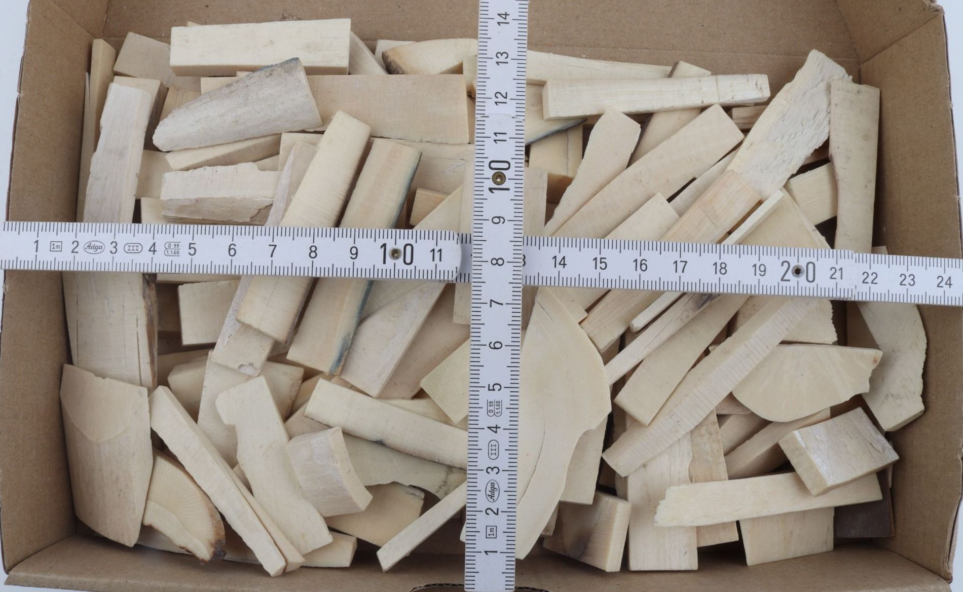 Raw white mammoth ivory offcuts