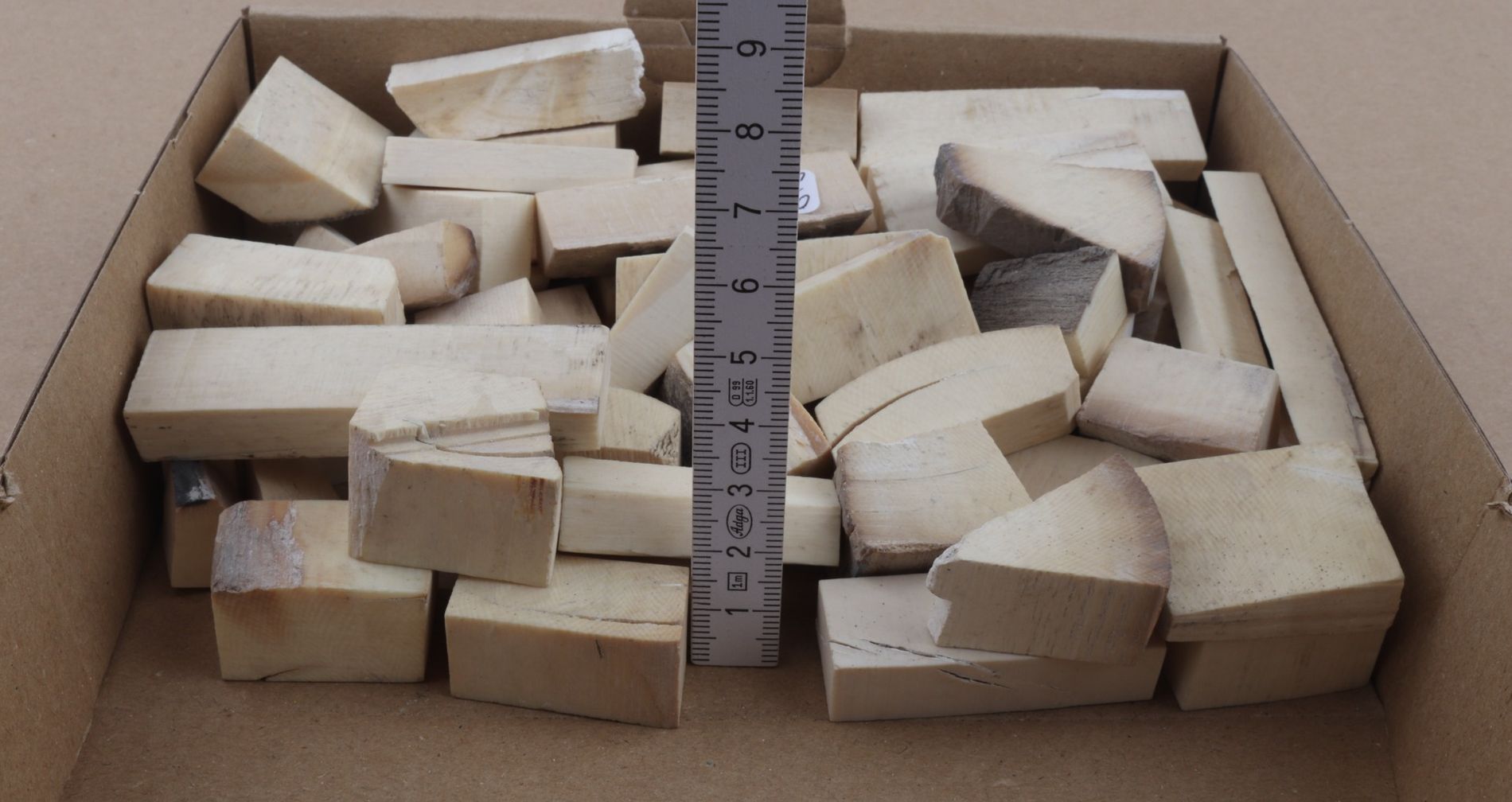 White mammoth ivory pieces