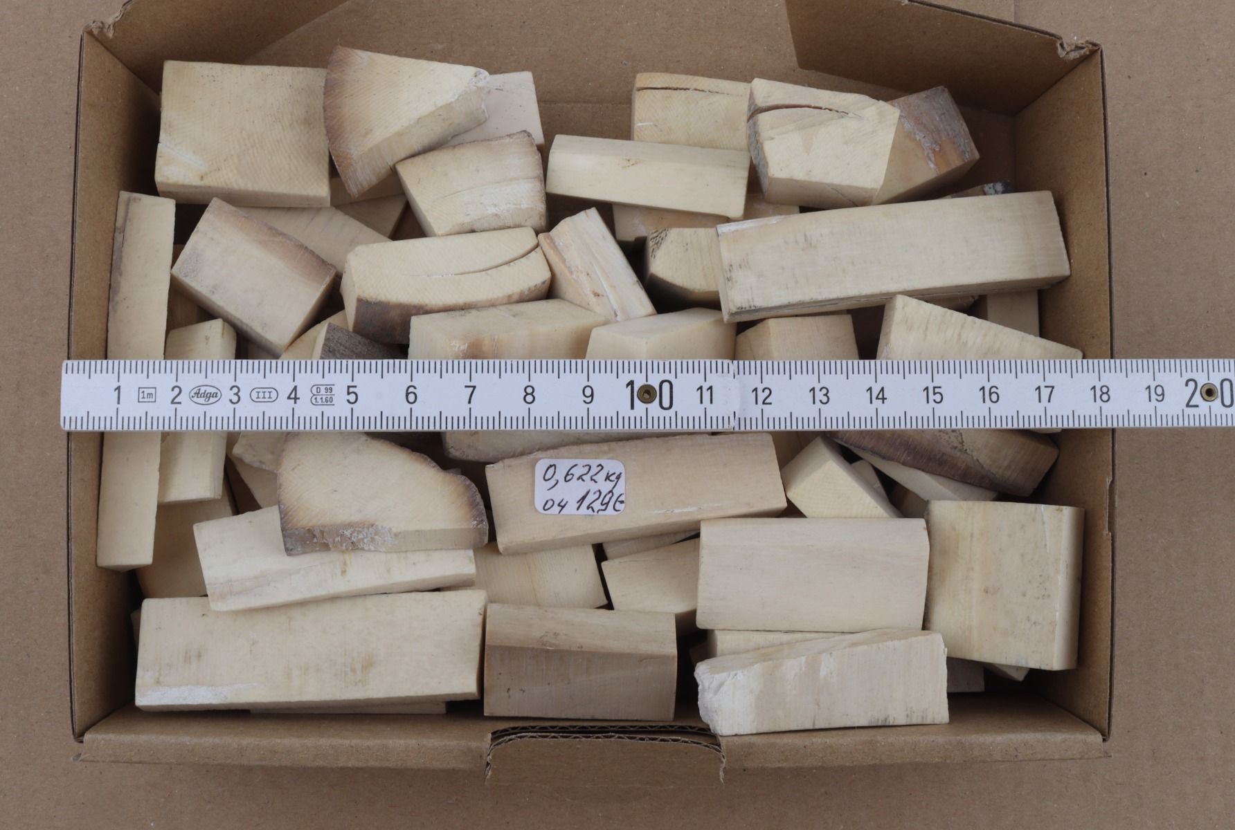 White mammoth ivory pieces