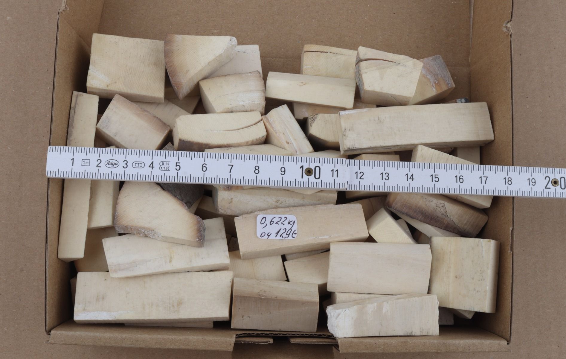 White mammoth ivory pieces