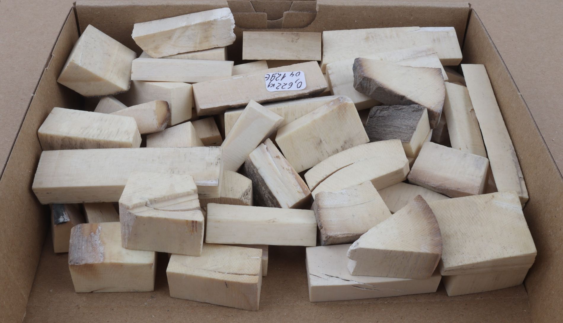 White mammoth ivory pieces