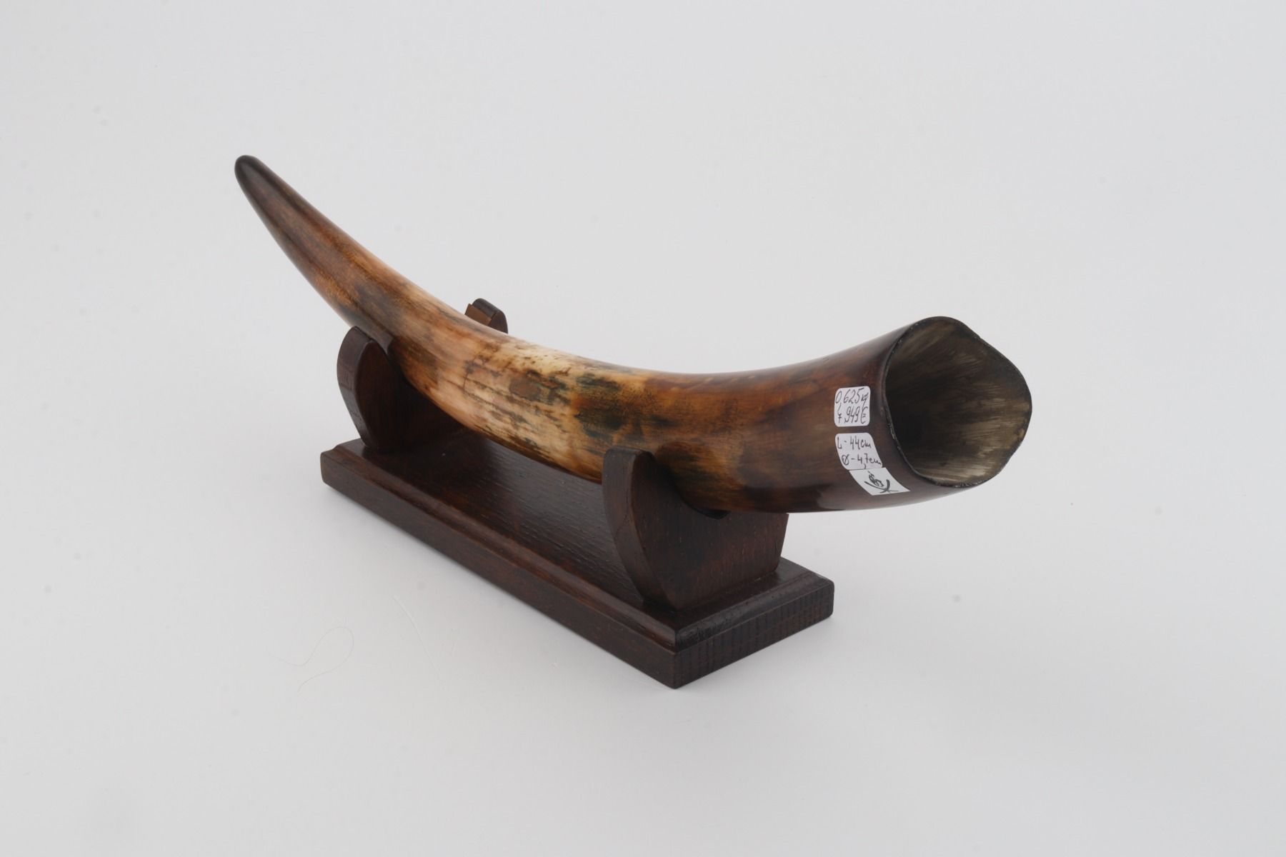 Restored woolly mammoth tusk