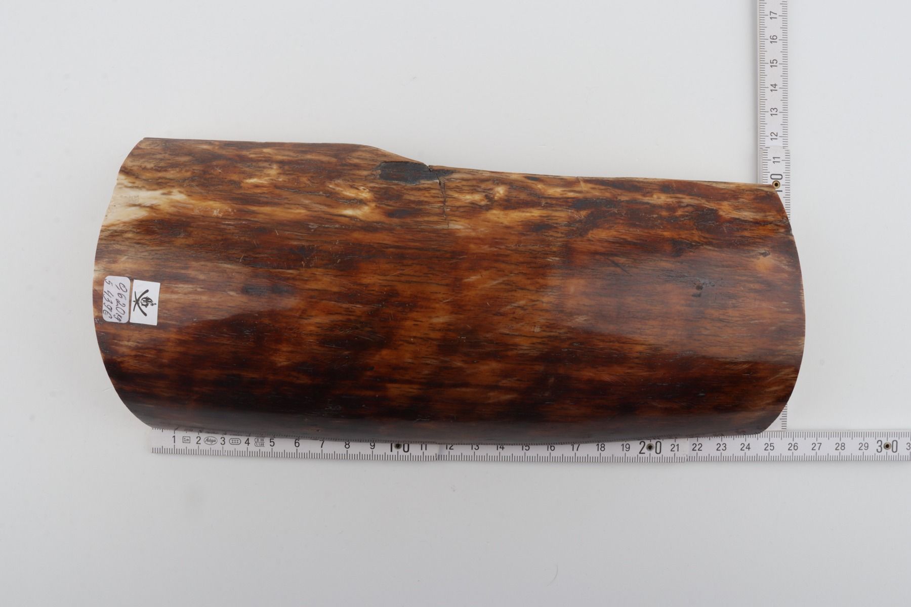 Brown-orange mammoth bark