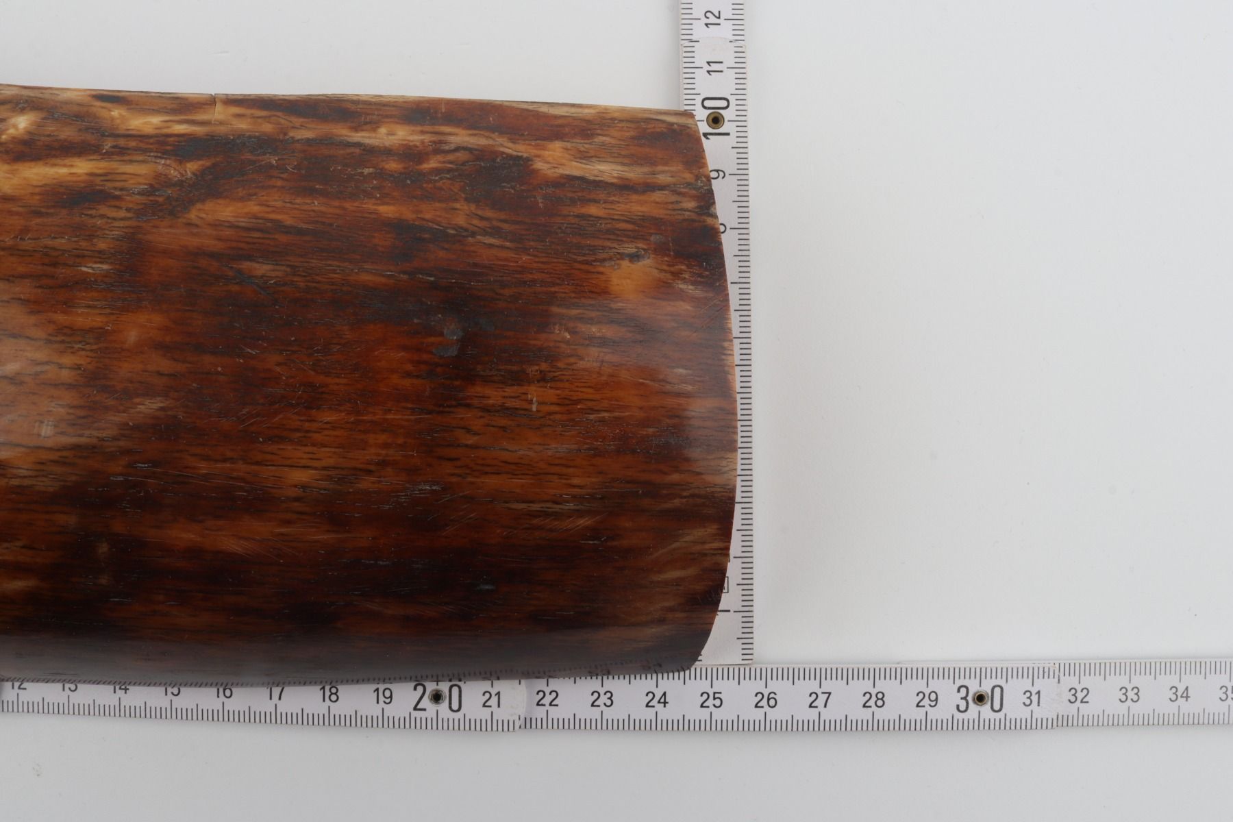 Brown-orange mammoth bark