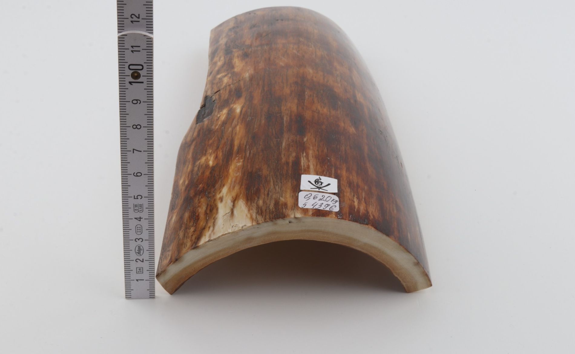 Brown-orange mammoth bark