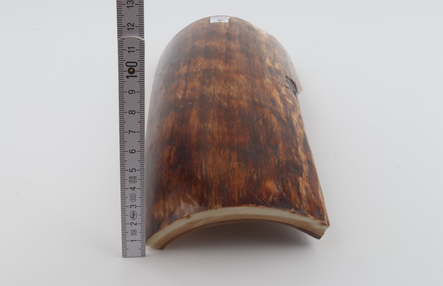 Brown-orange mammoth bark