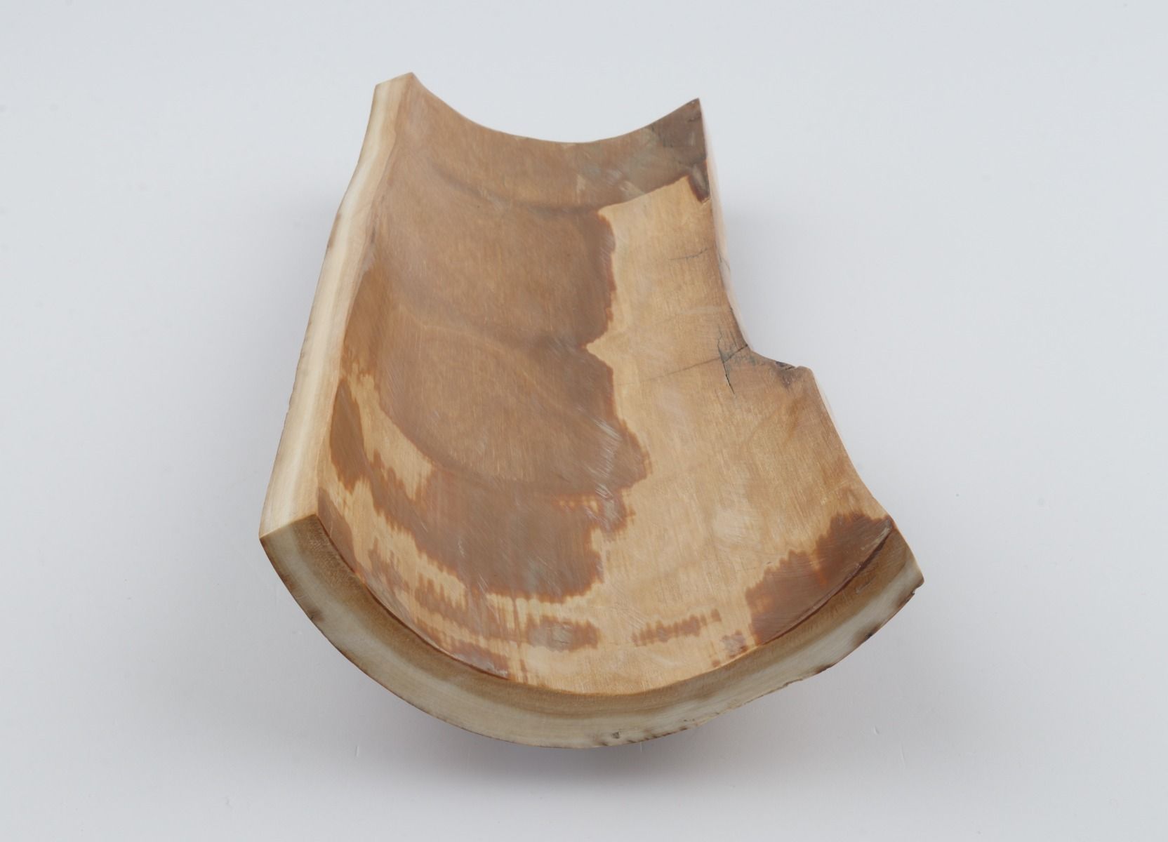 Brown-orange mammoth bark
