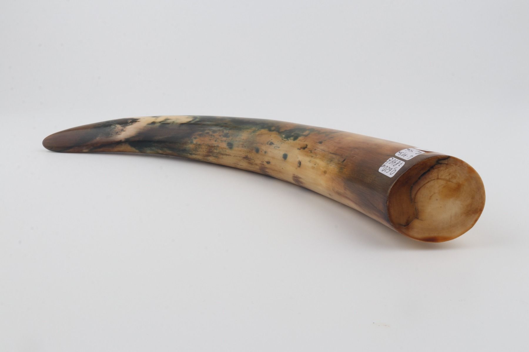 Restored mammoth tusk tip