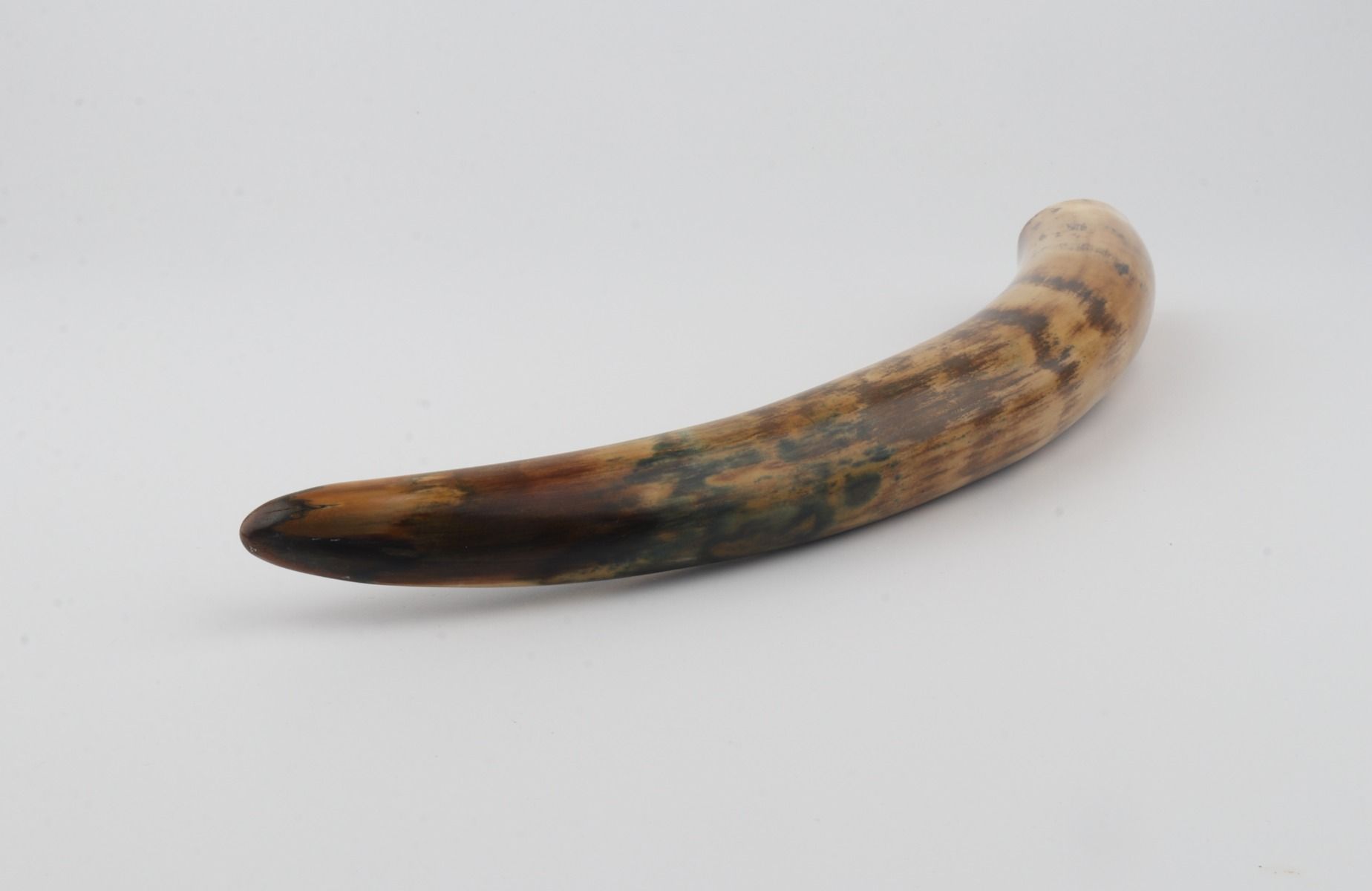 Restored mammoth tusk tip
