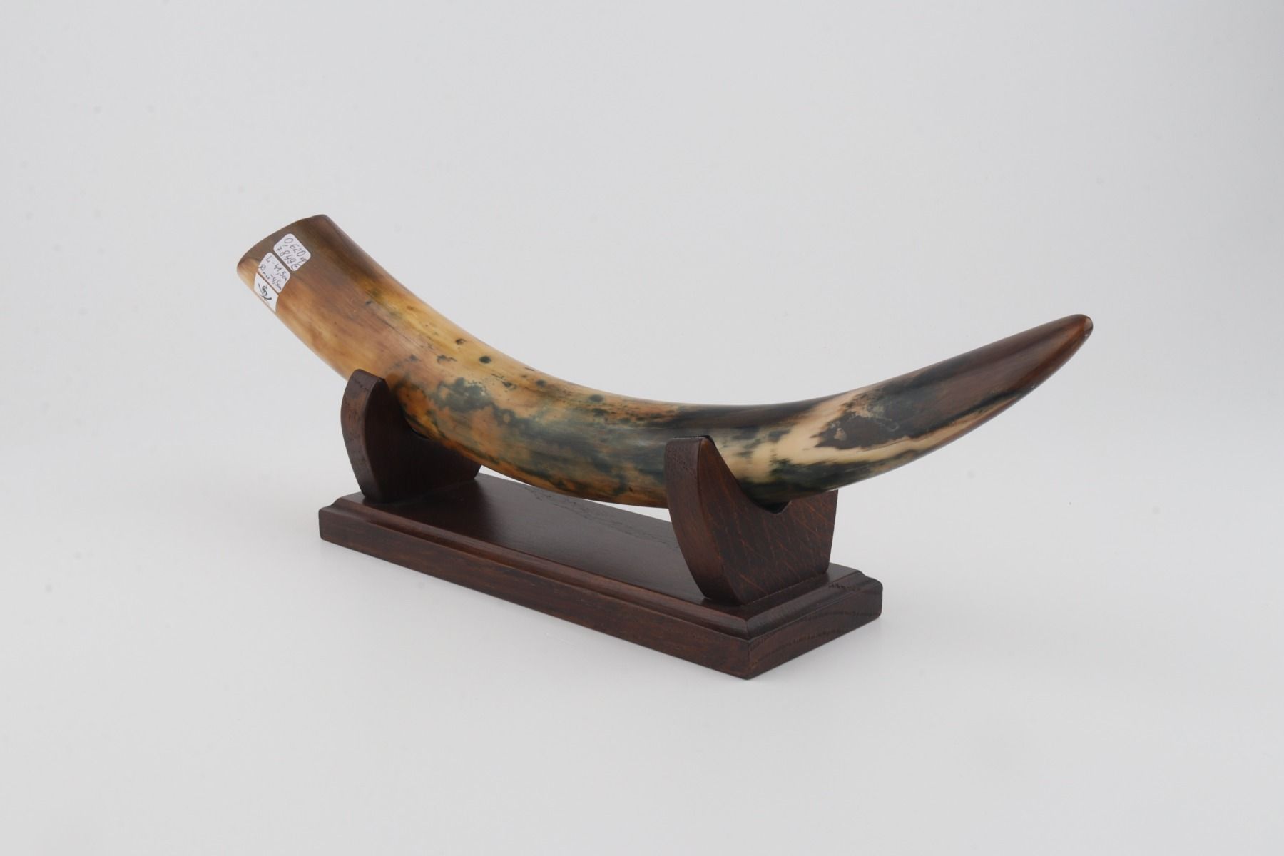 Restored mammoth tusk tip