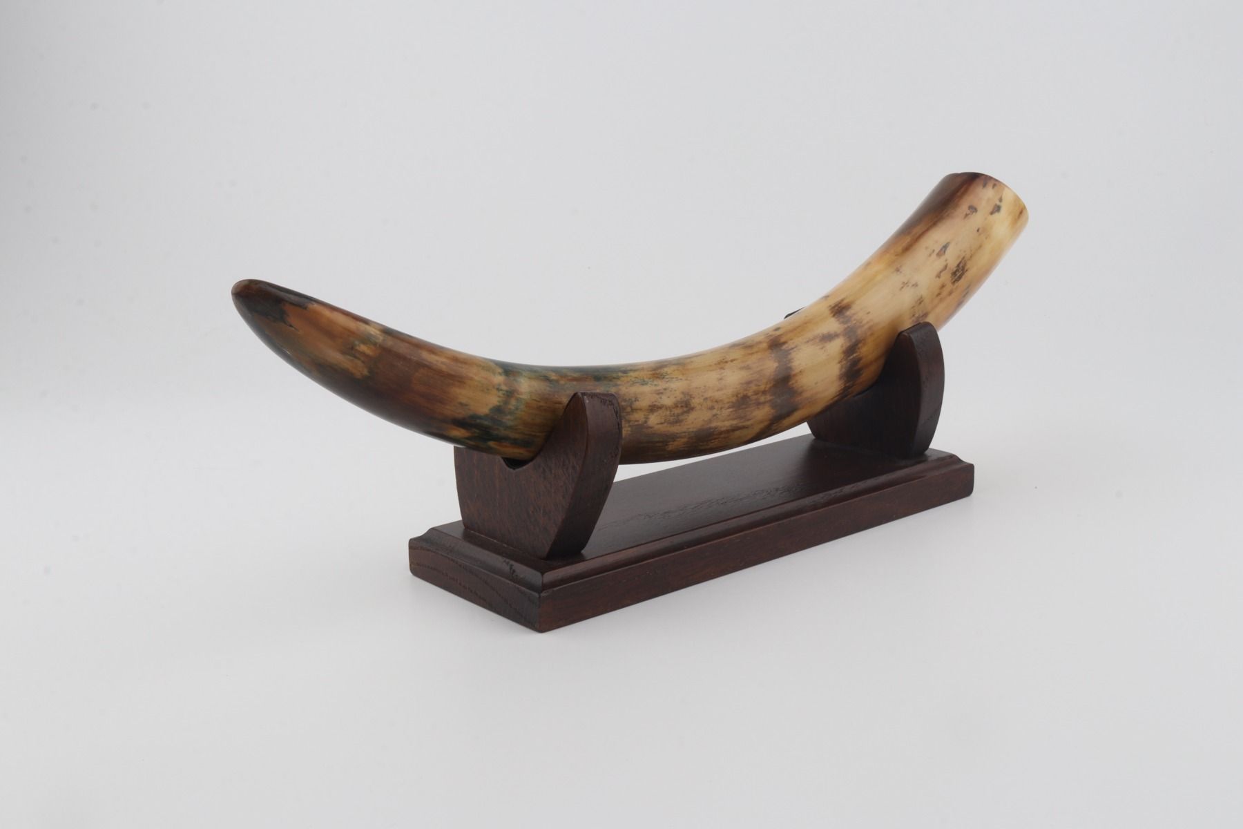 Restored mammoth tusk tip