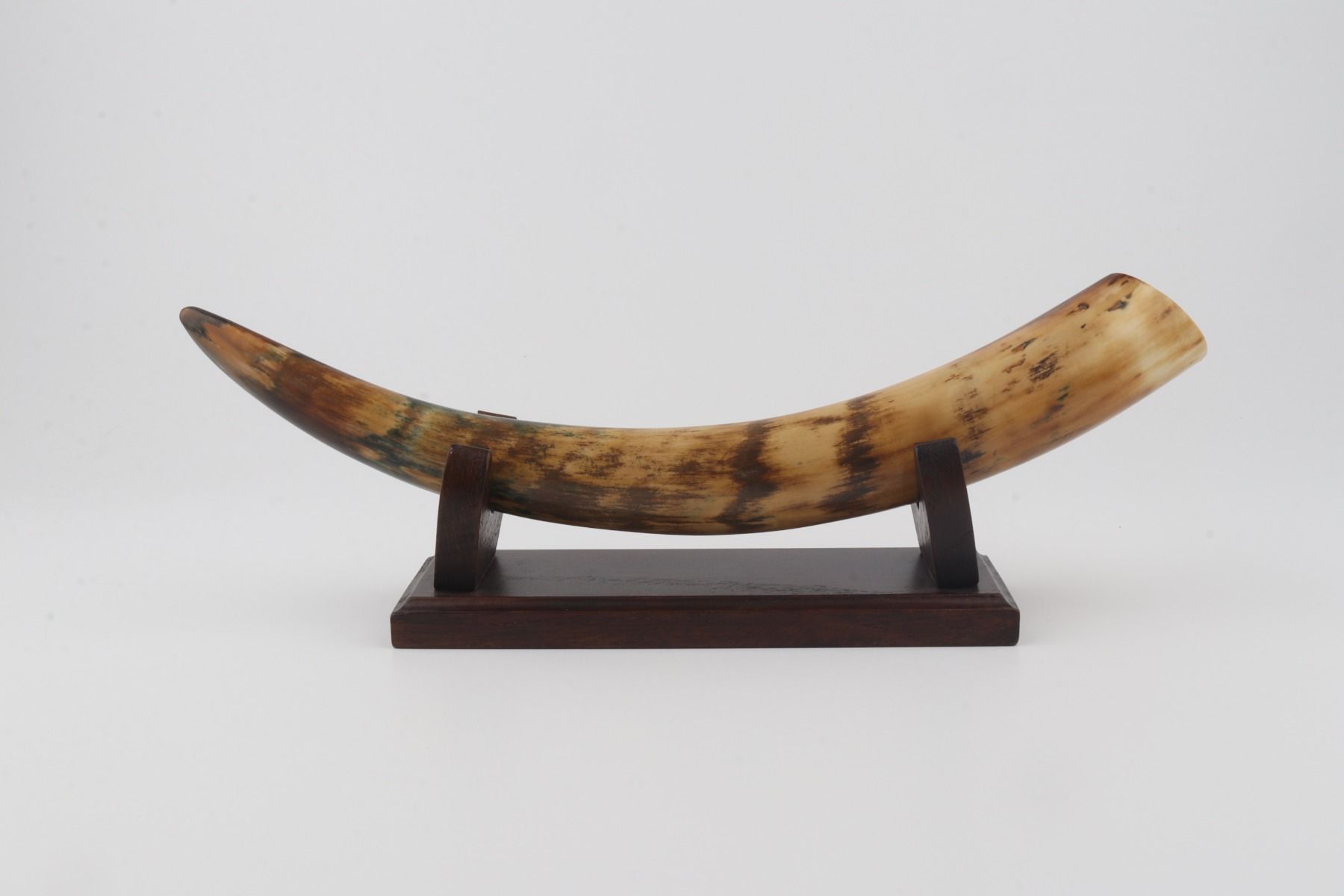 Restored mammoth tusk tip
