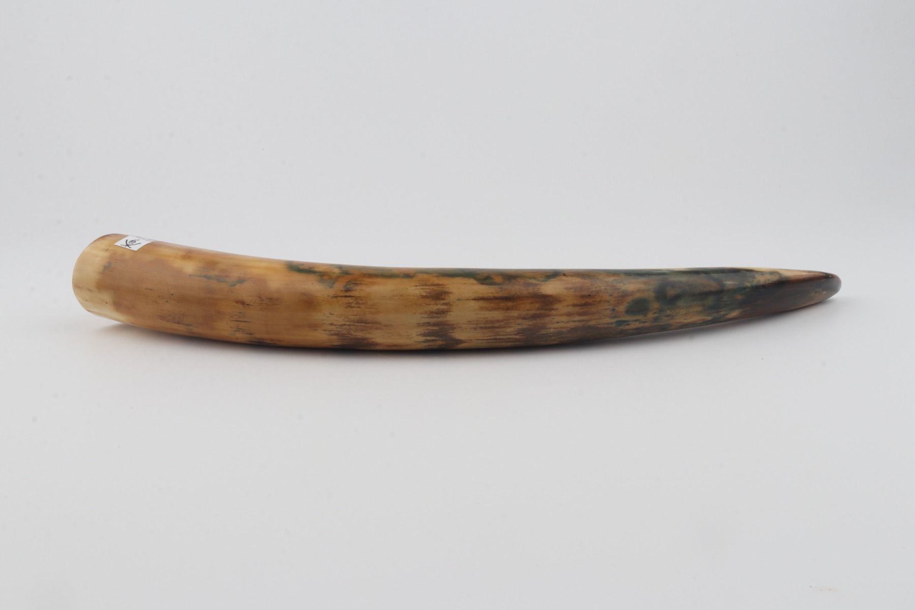 Restored mammoth tusk tip