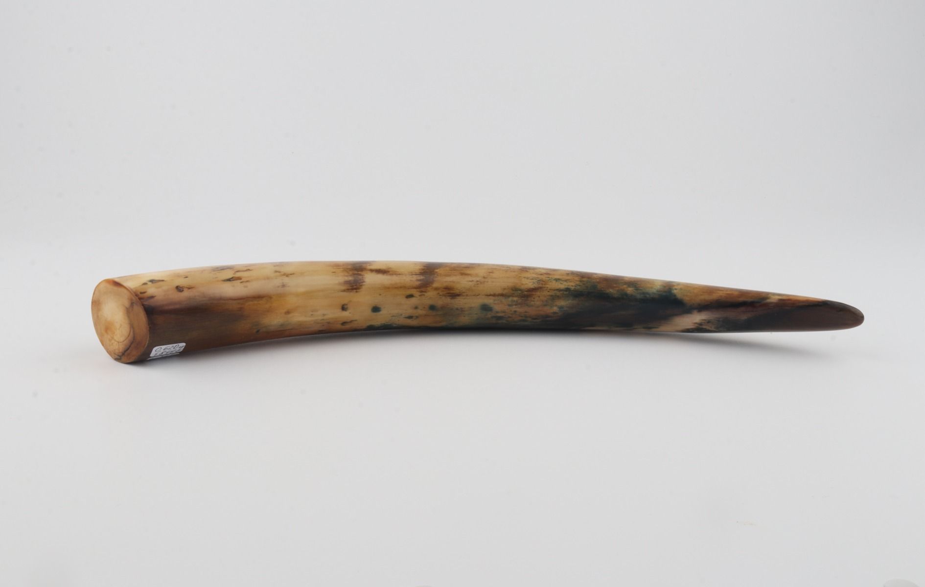 Restored mammoth tusk tip