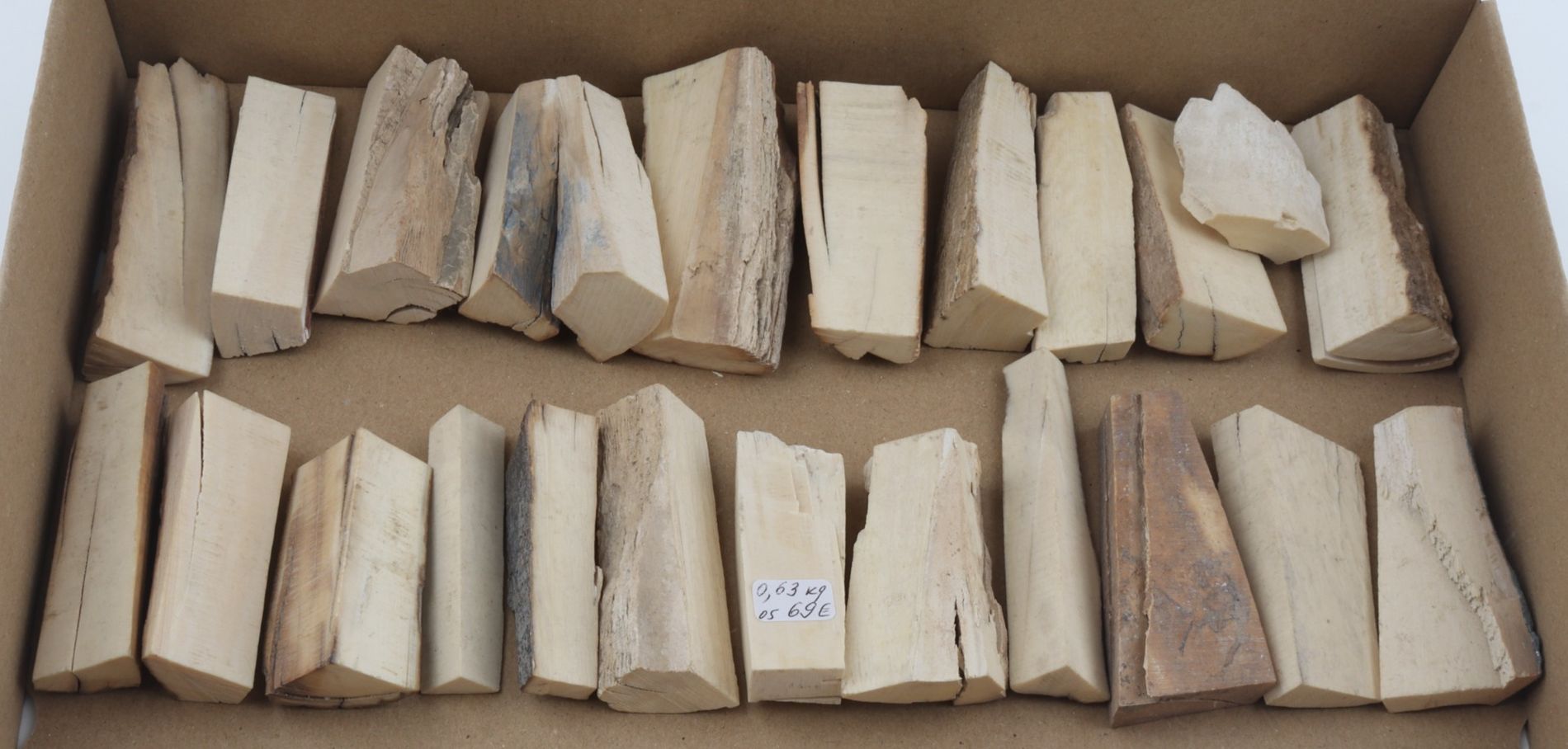 Raw mammoth ivory pieces