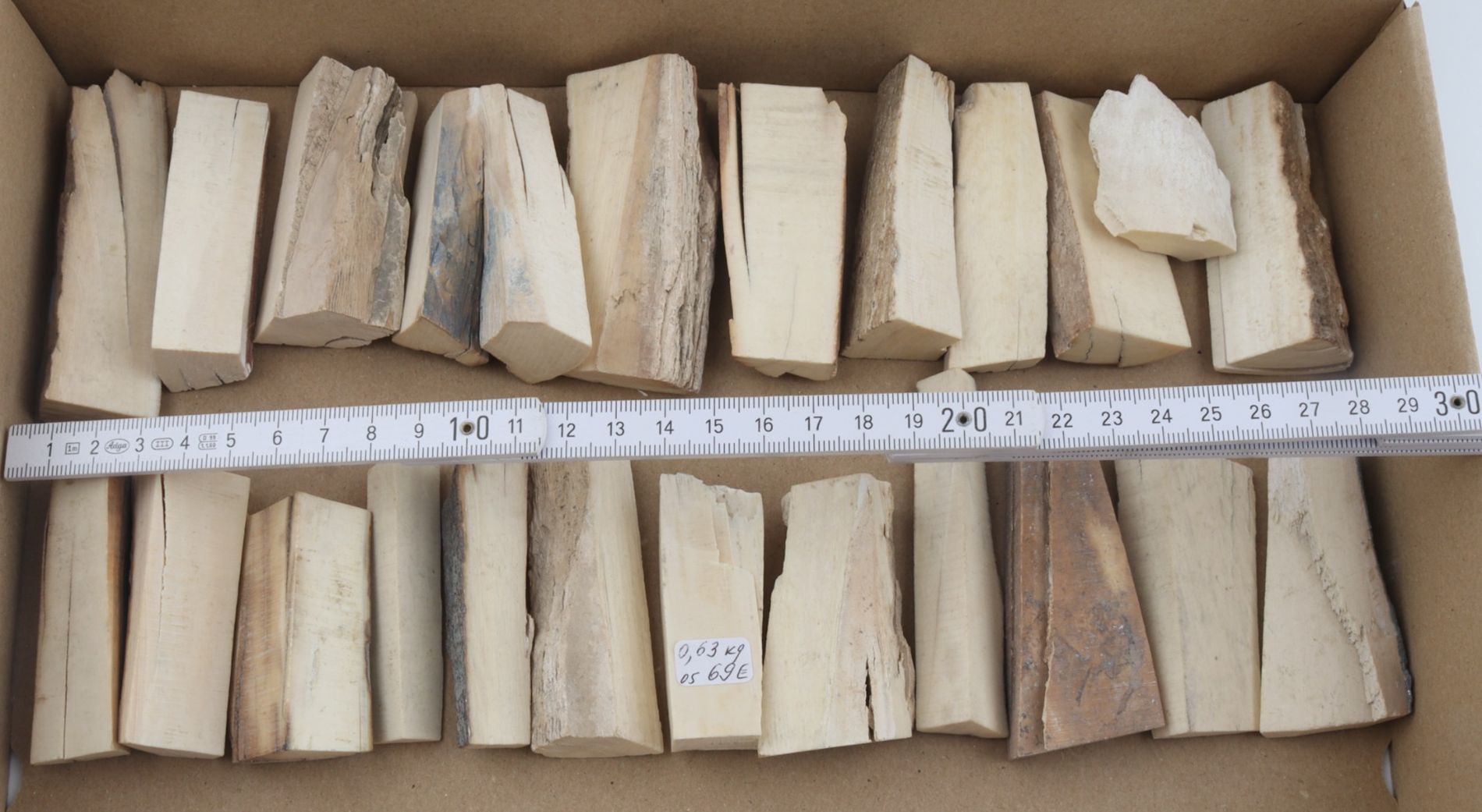 Raw mammoth ivory pieces