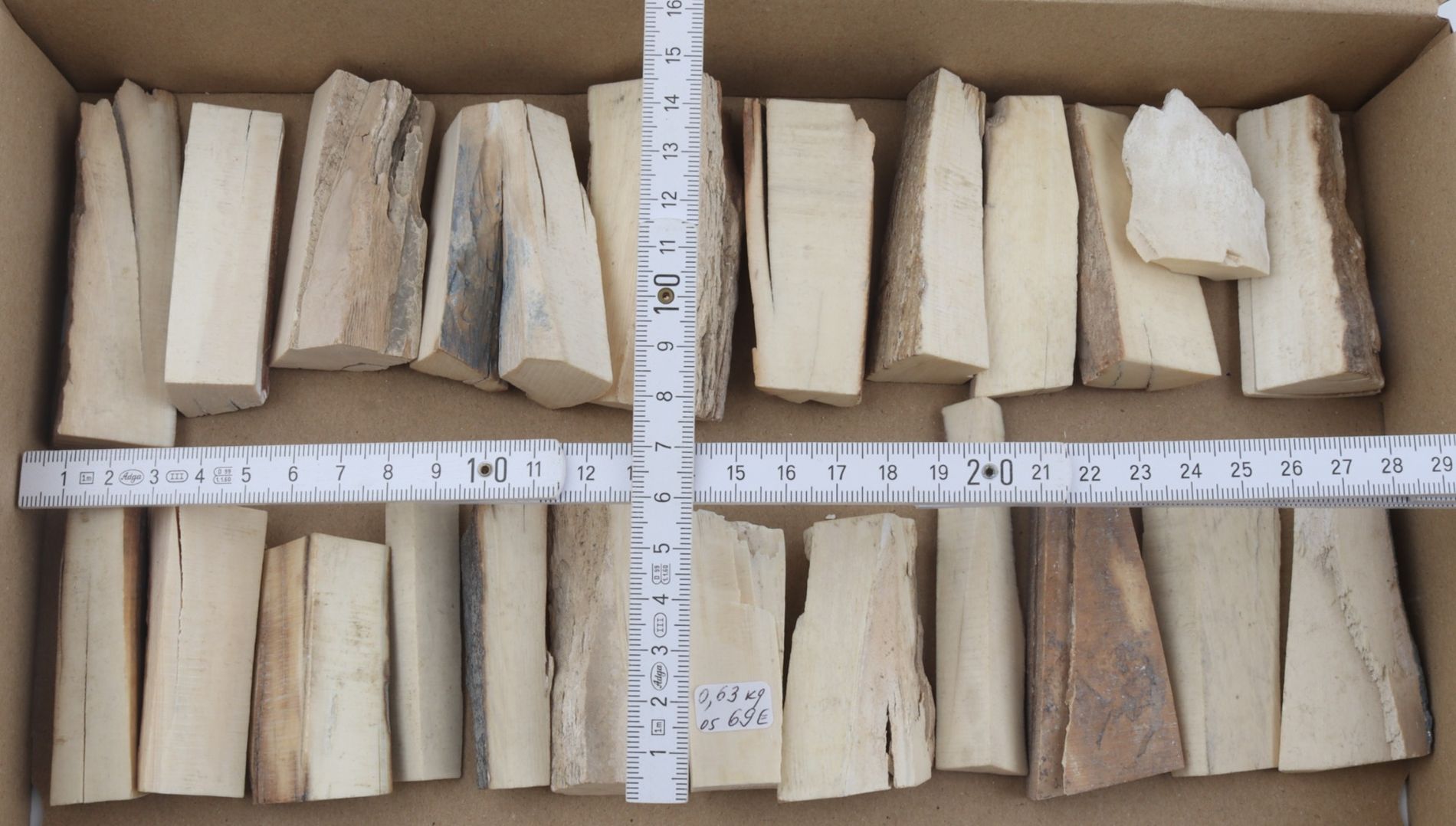 Raw mammoth ivory pieces