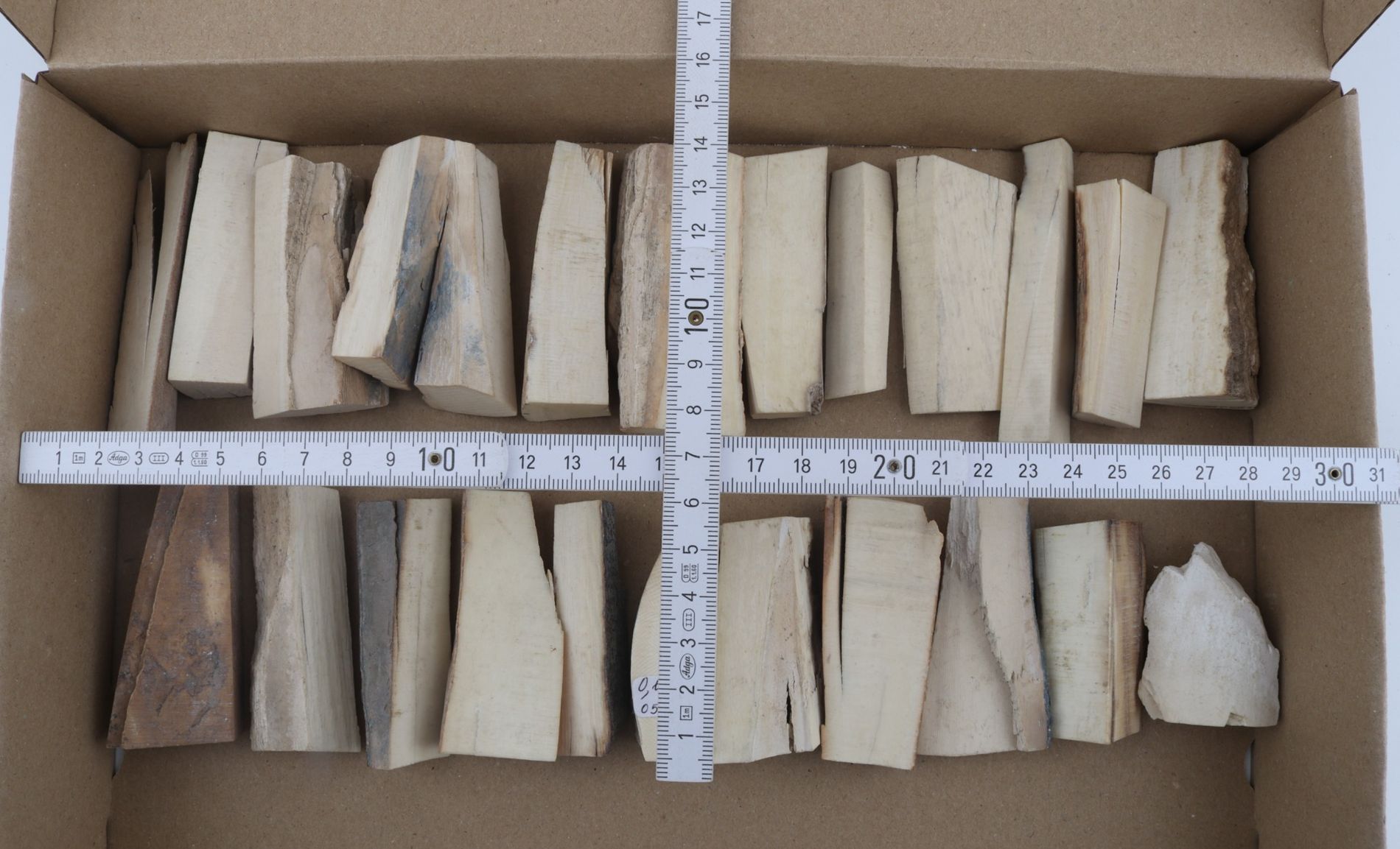 Raw mammoth ivory pieces