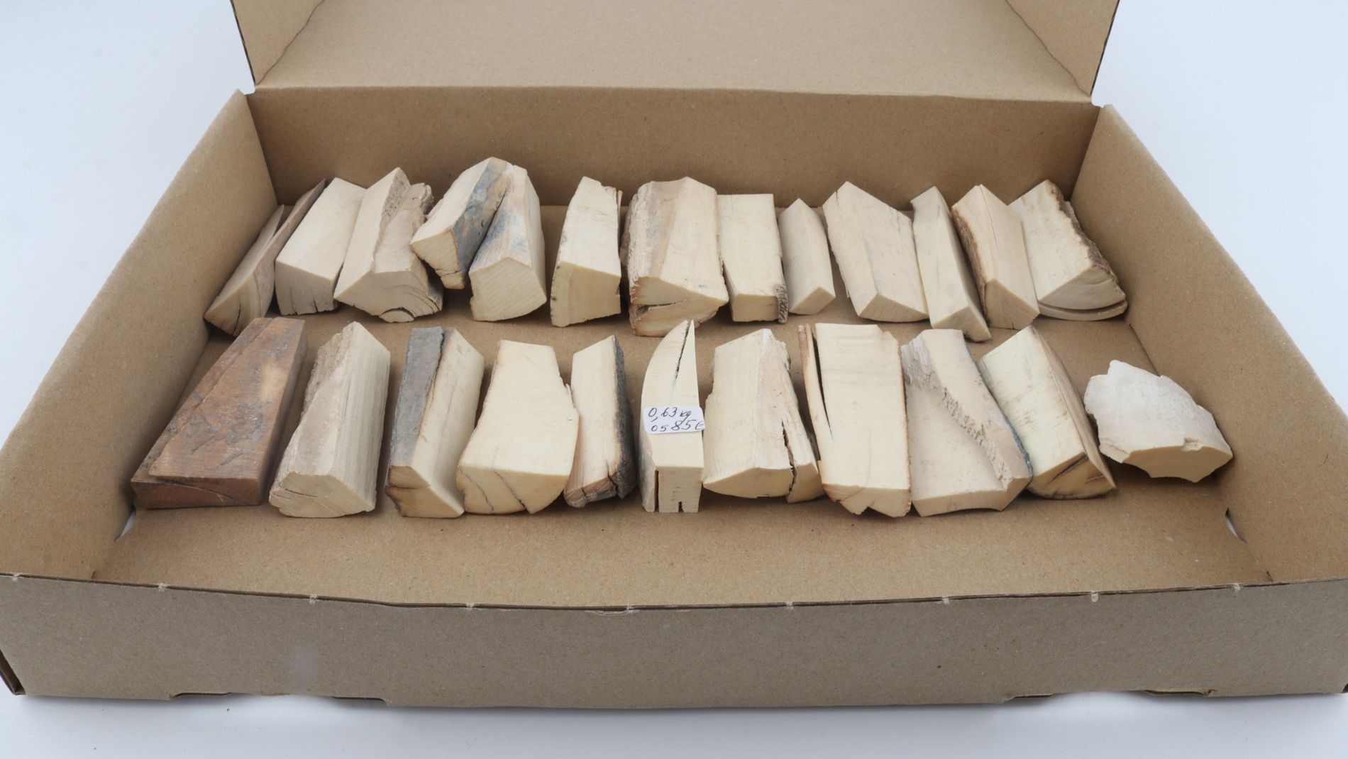 Raw mammoth ivory pieces