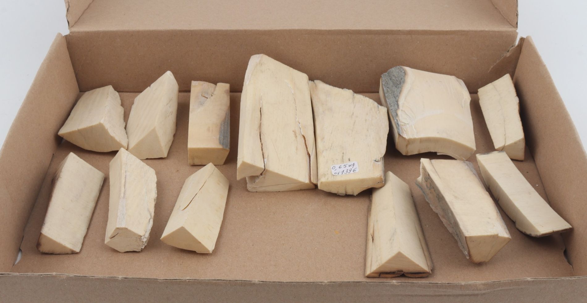 Untreated mammoth ivory pieces