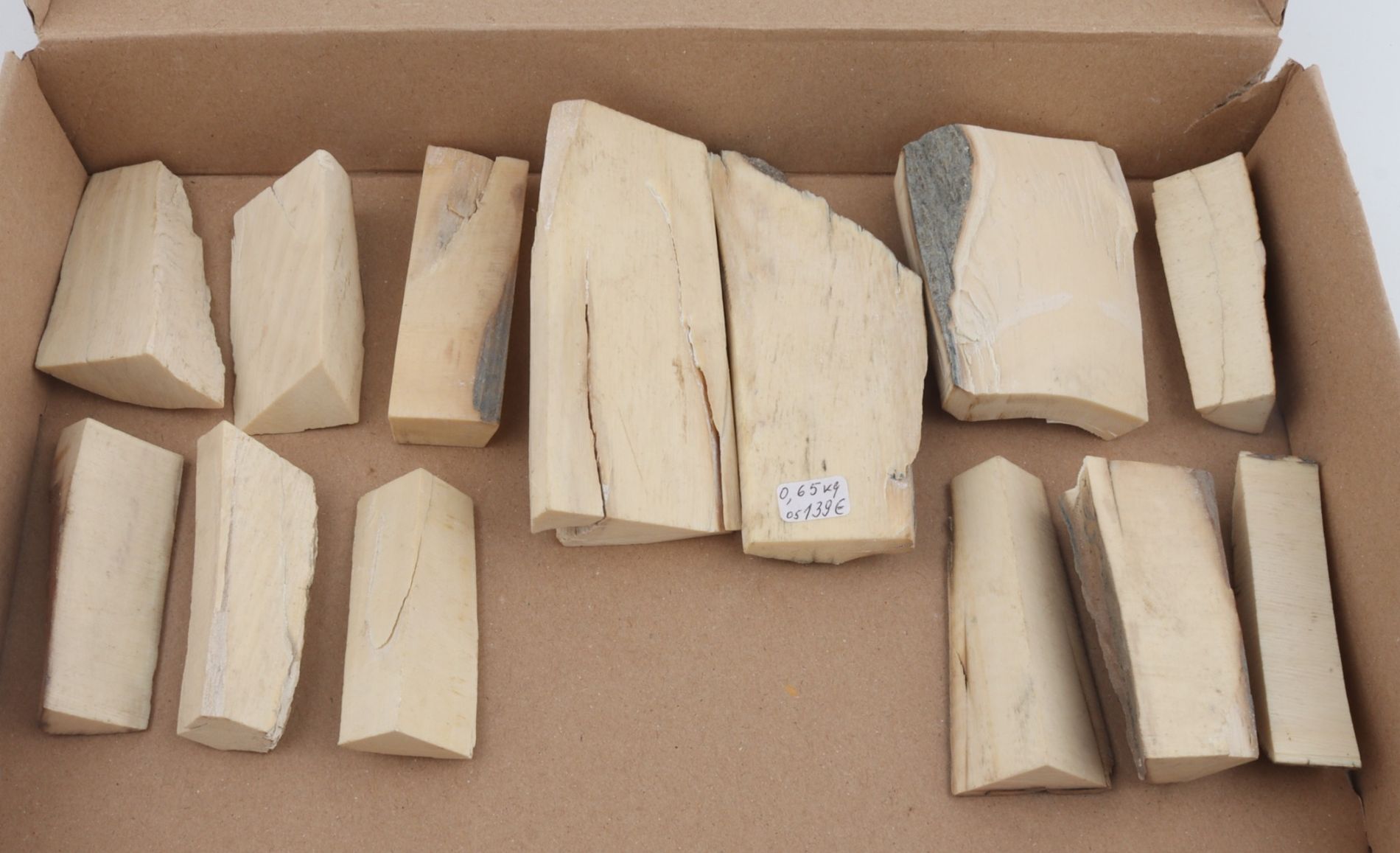 Untreated mammoth ivory pieces