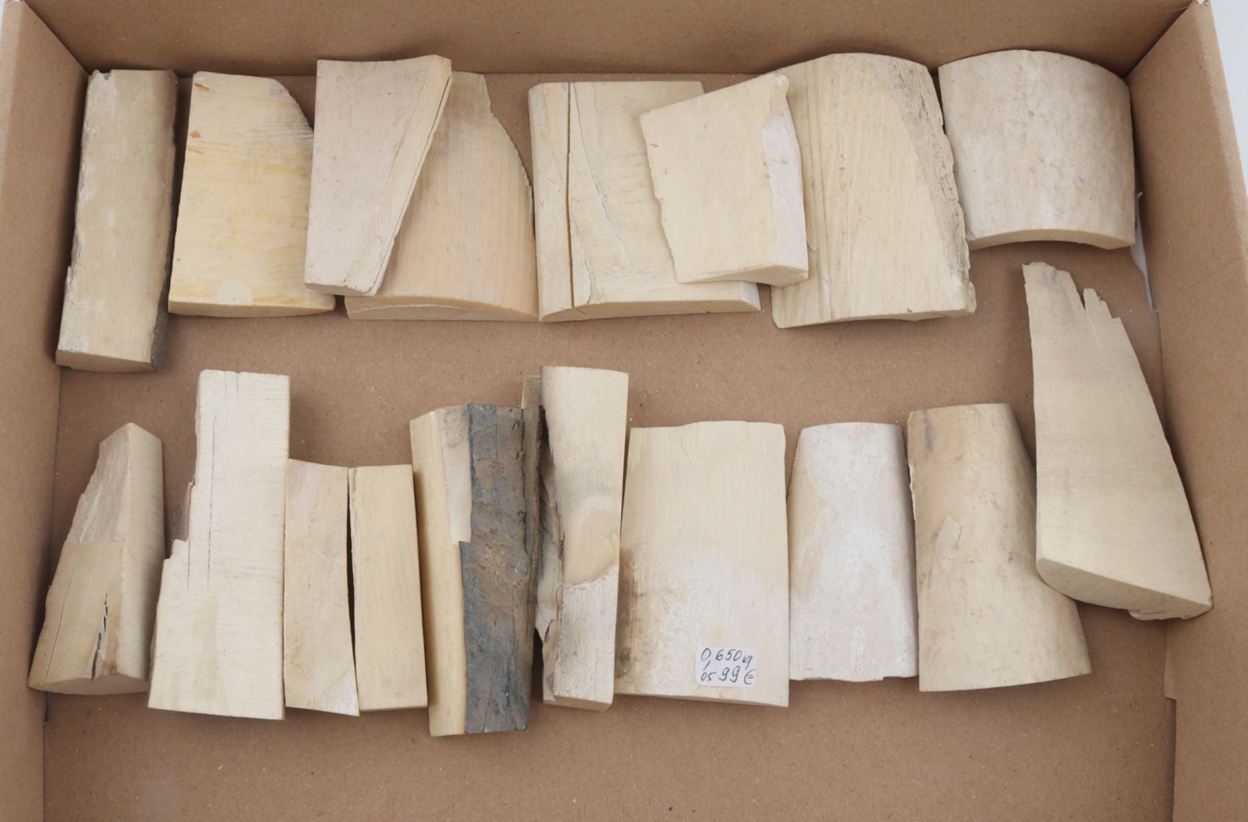 Untreated mammoth ivory pieces